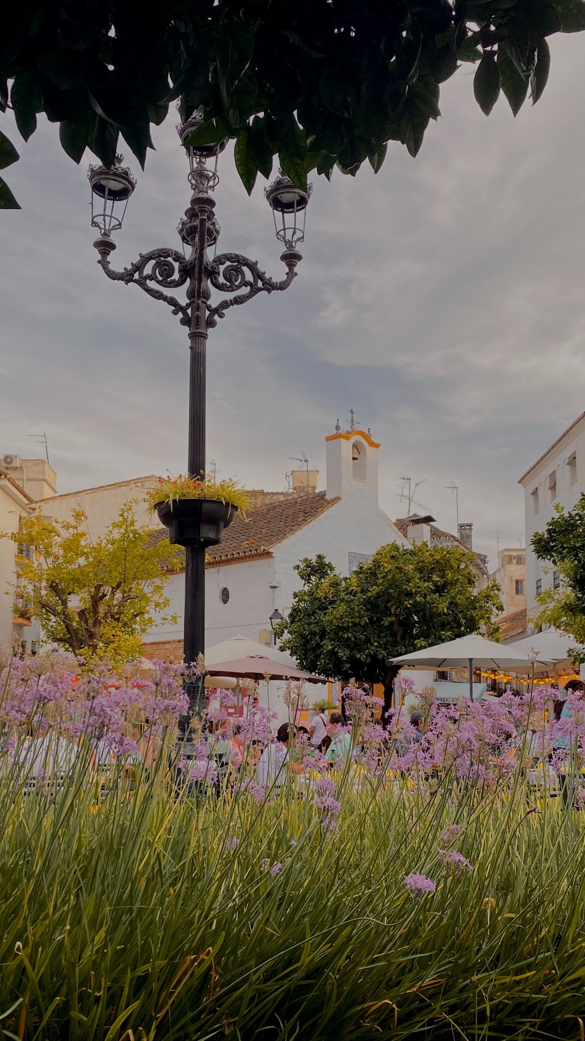 Old Town Old Town