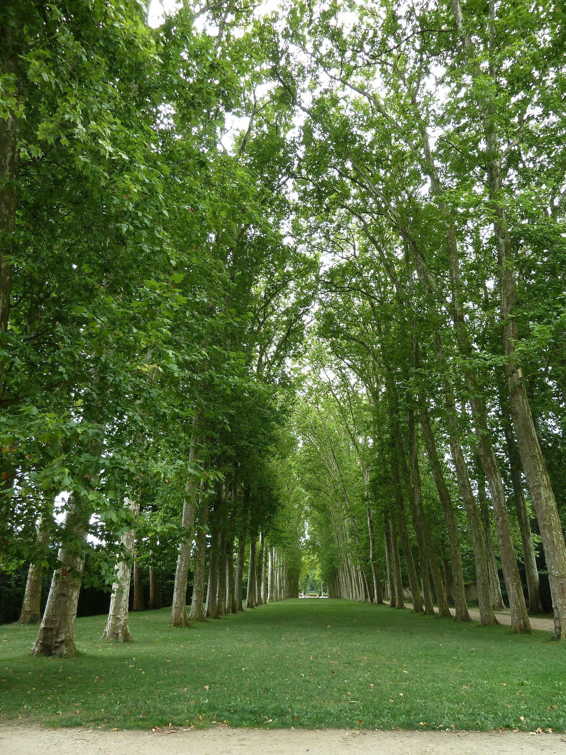 Palace Gardens Palace Gardens