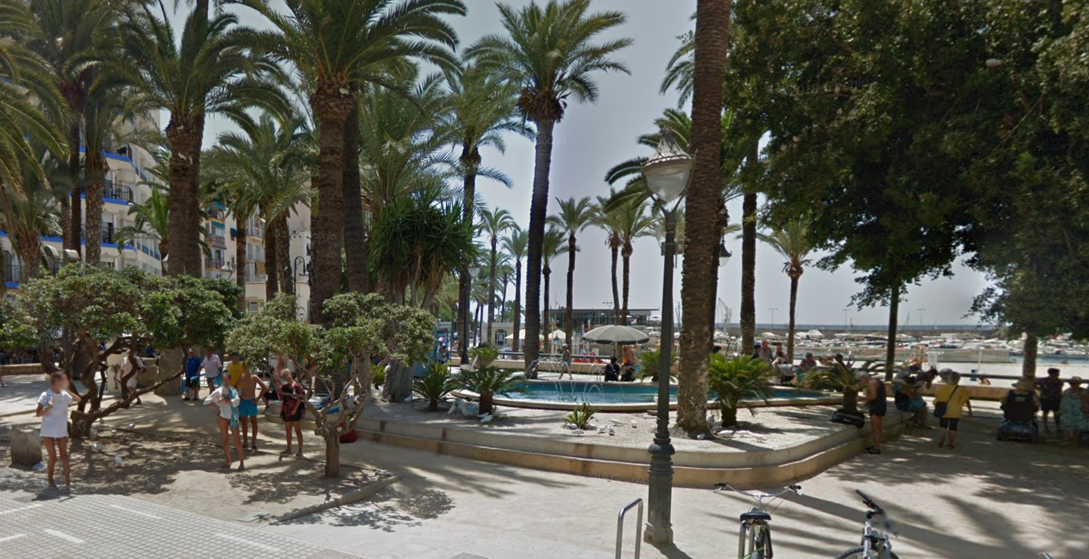 Parc Municipal El Palmeral Elche by Google Earth Parc Municipal El Palmeral Elche by Google Earth