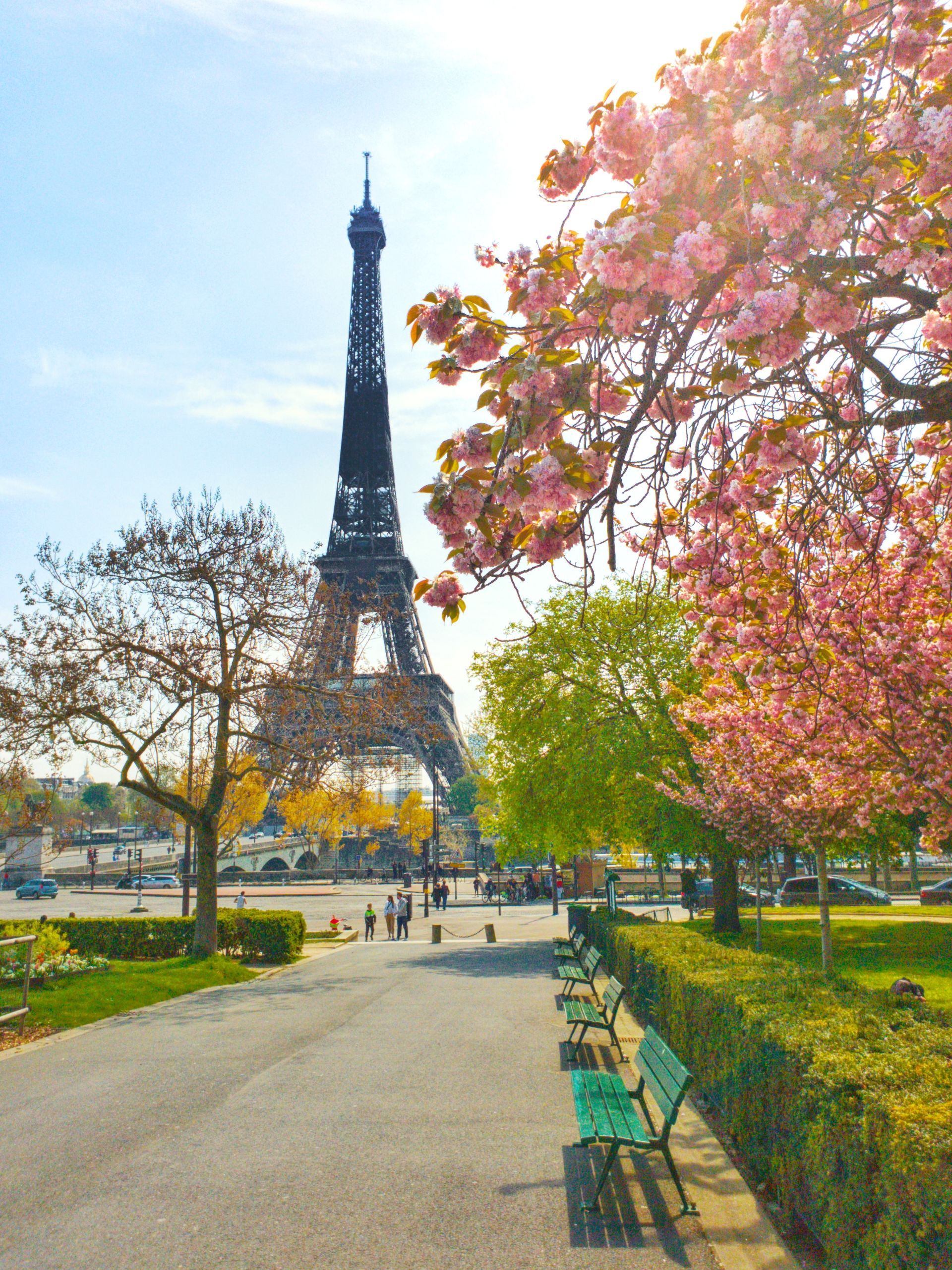 Parisian Promenades Parisian Promenades