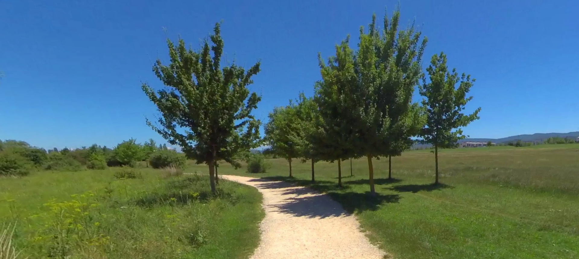 Parque Salburua by Google Earth