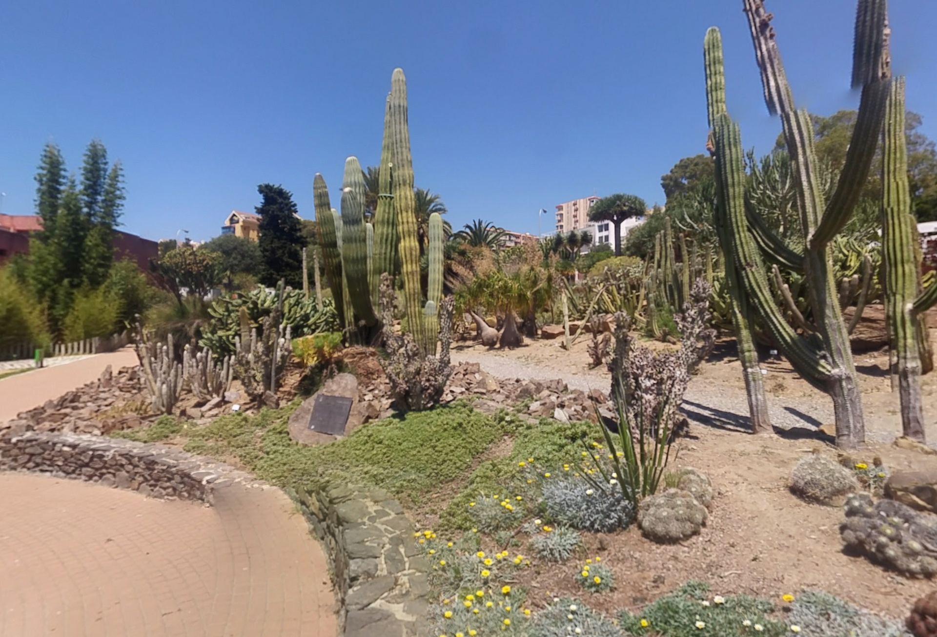 Parque de la Paloma by Google Earth Parque de la Paloma by Google Earth