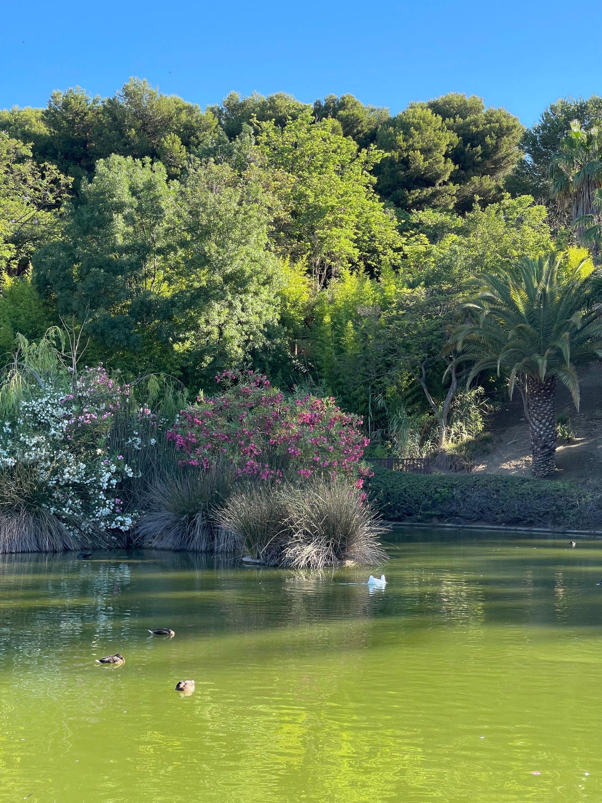 Parque de la Paloma Parque de la Paloma