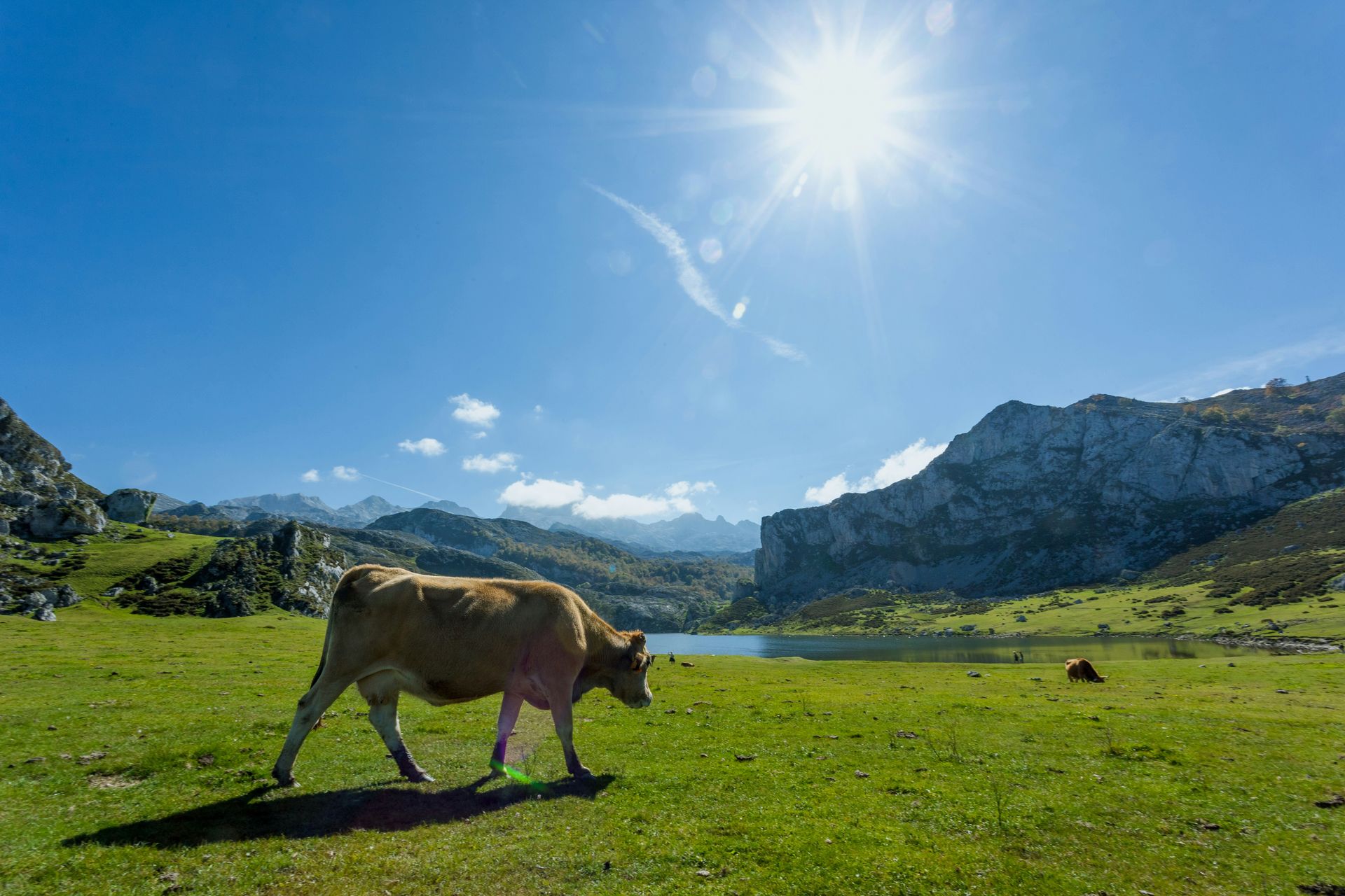 Picos De Europa