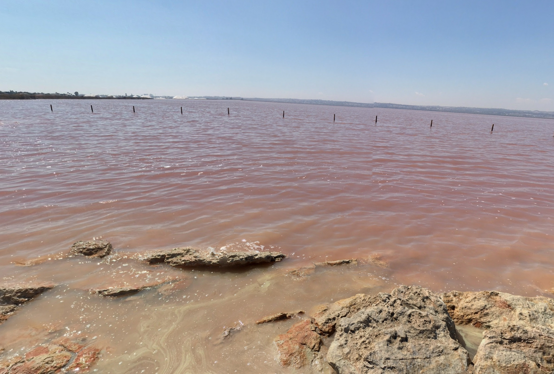 Pink Lagoon by Google Earth Pink Lagoon by Google Earth