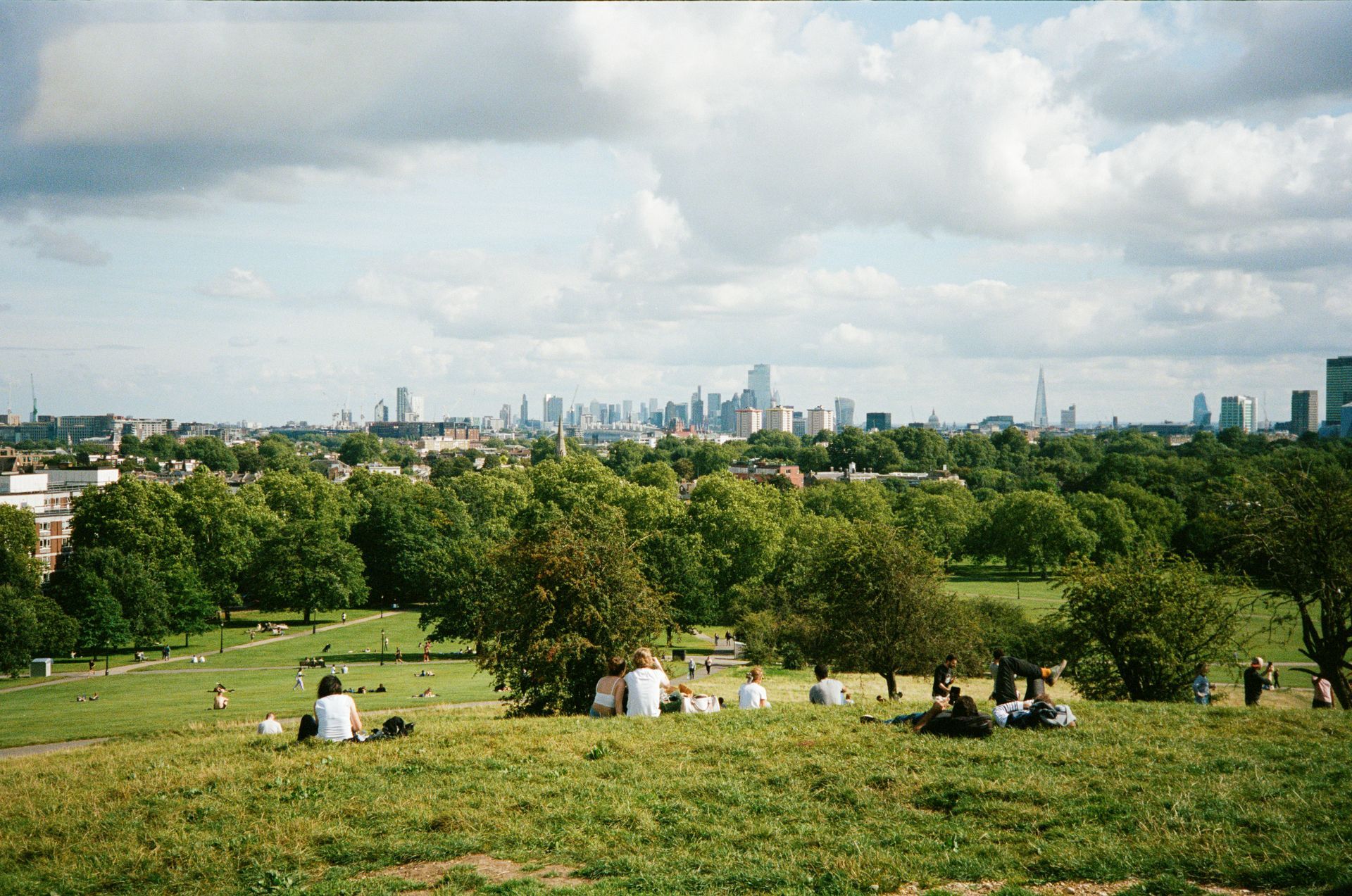 Primrose Hill Primrose Hill