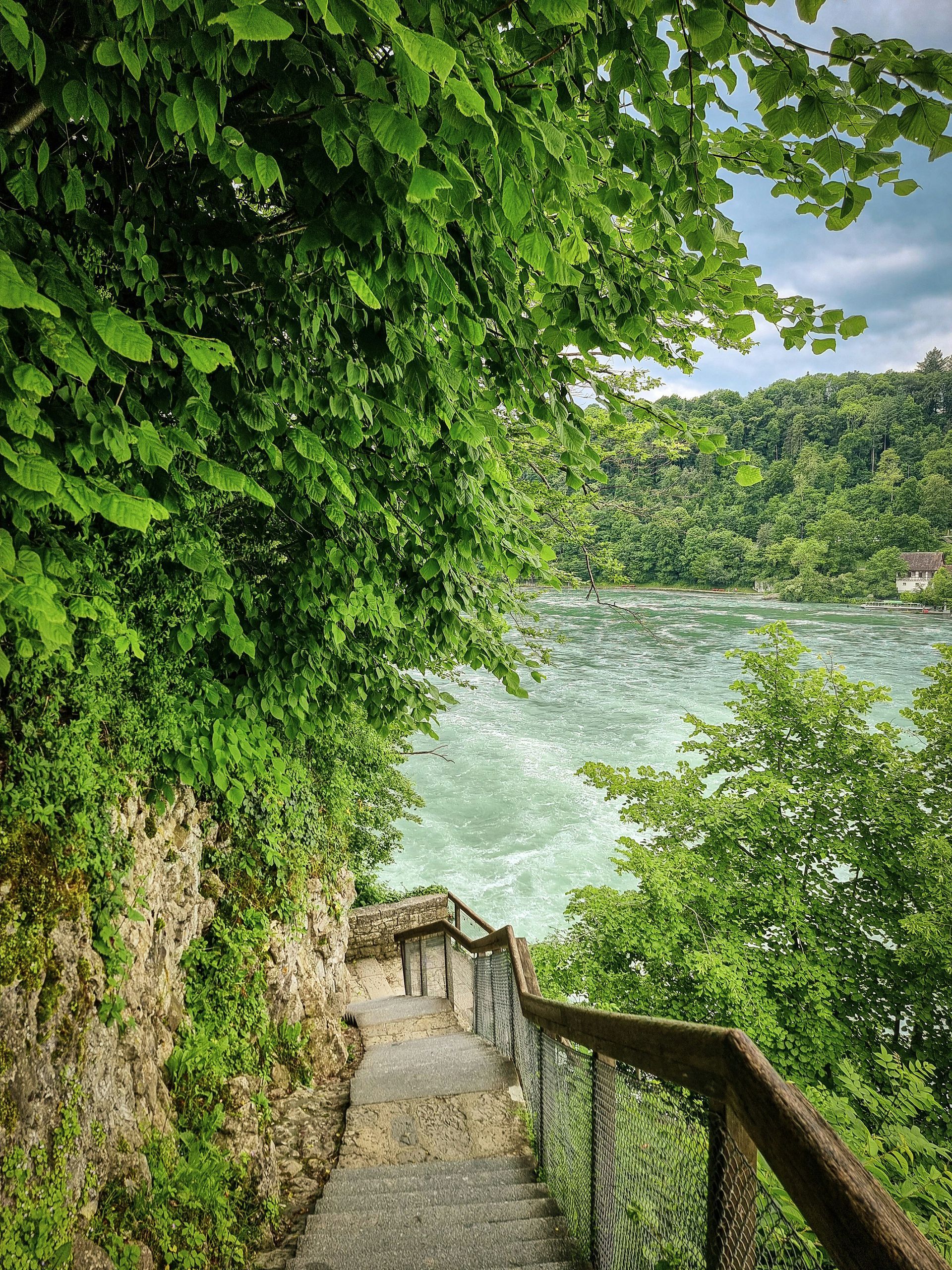 Rhine Falls Rhine Falls