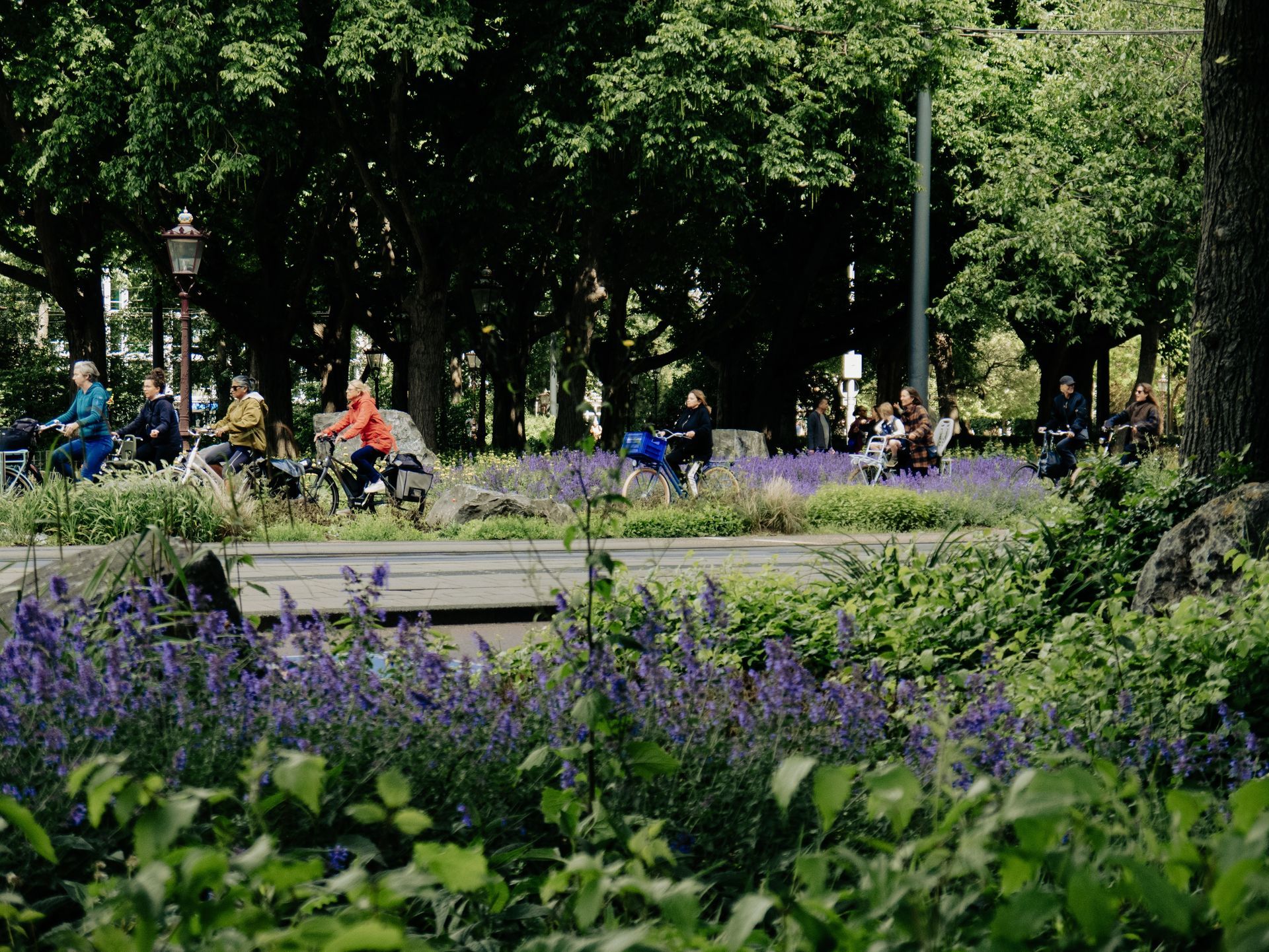 Rilassati nei Parchi Amsterdam Parks