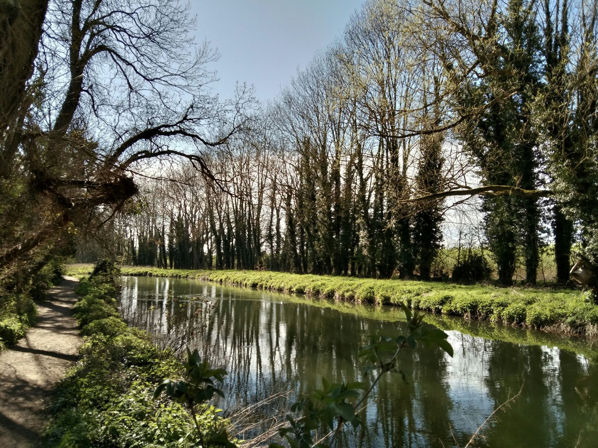 River Cam River Cam