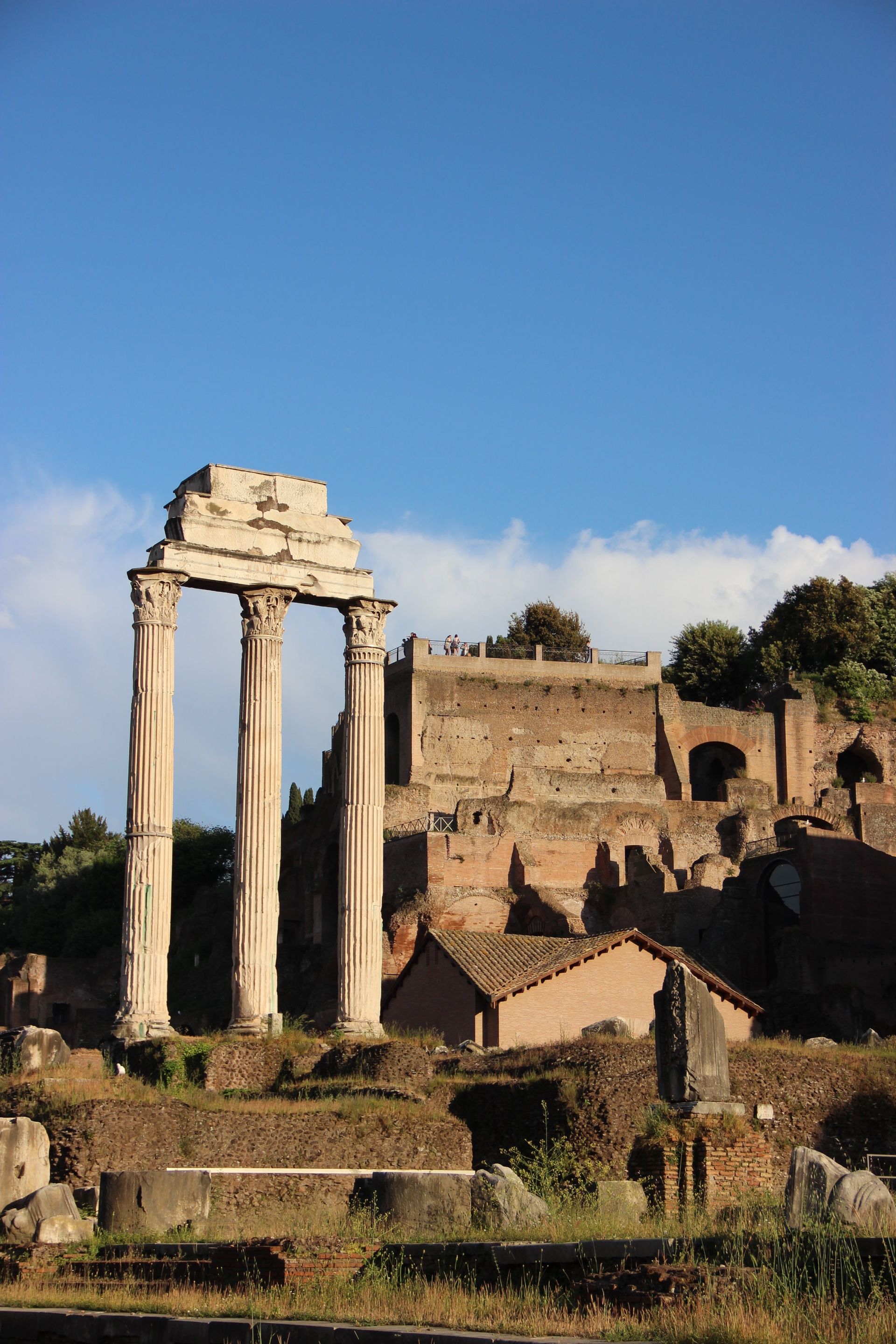 Il Foro Romano Il Foro Romano