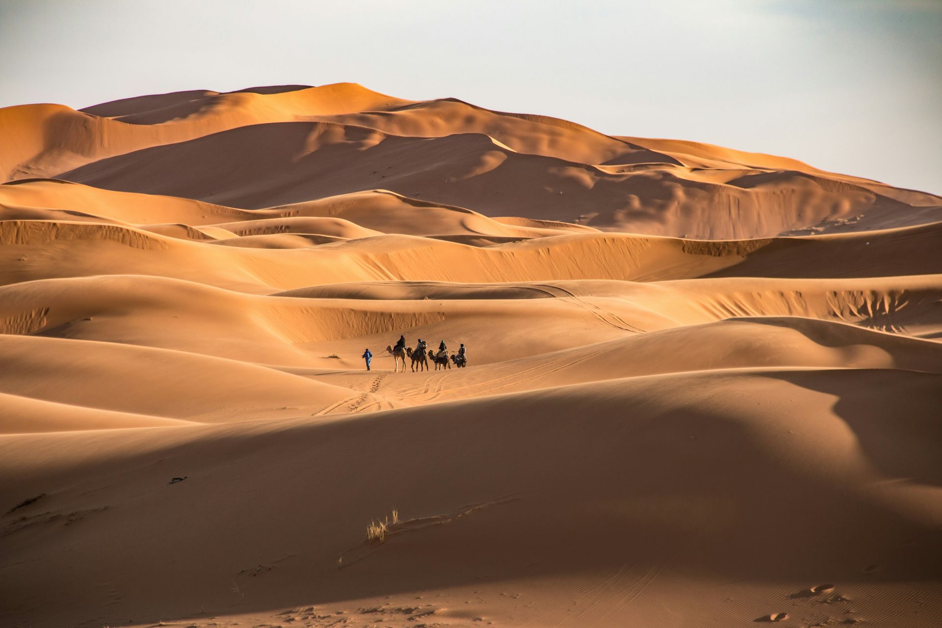 Sahara Sahara