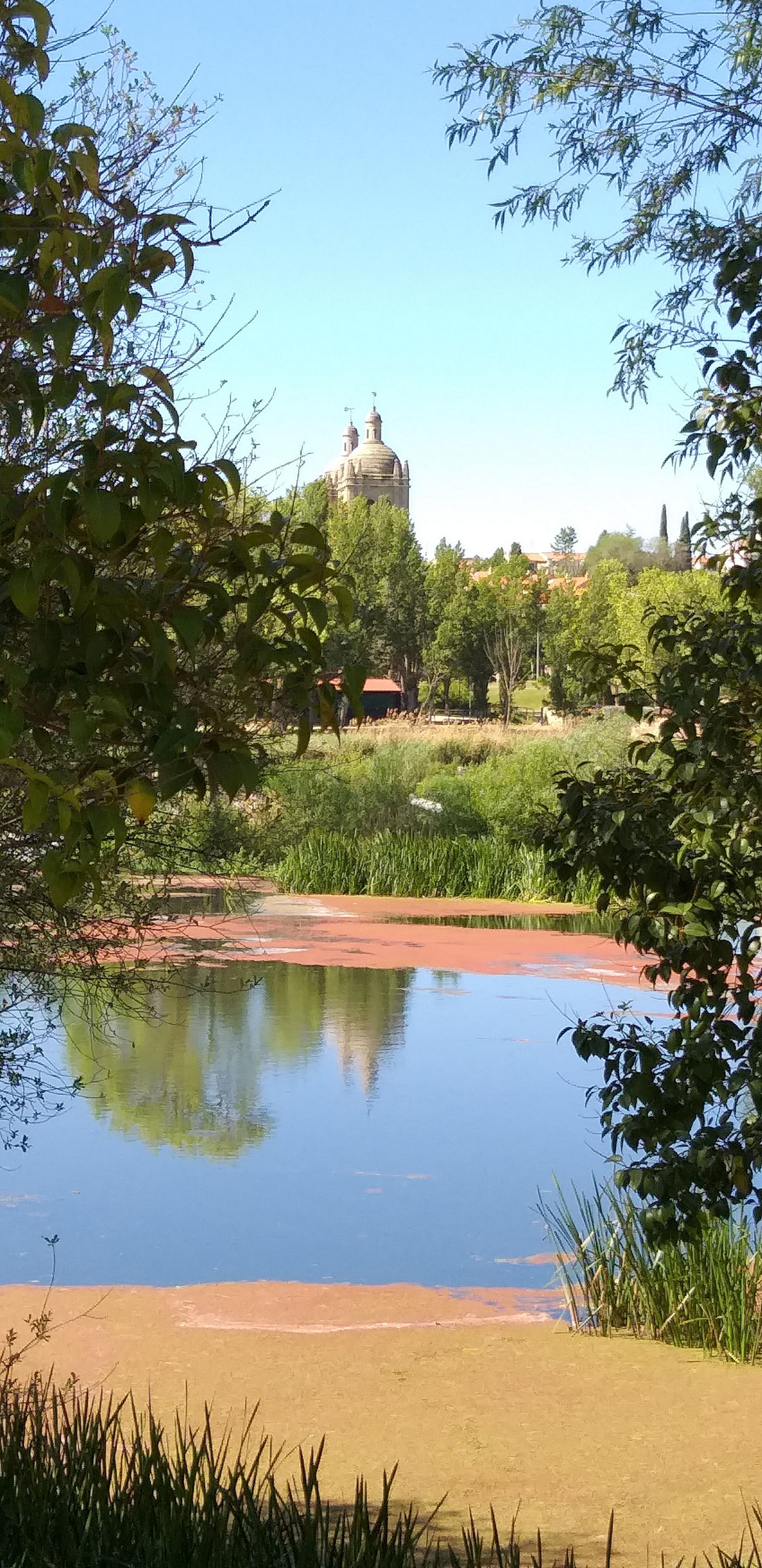 Salamanca Park Salamanca Park