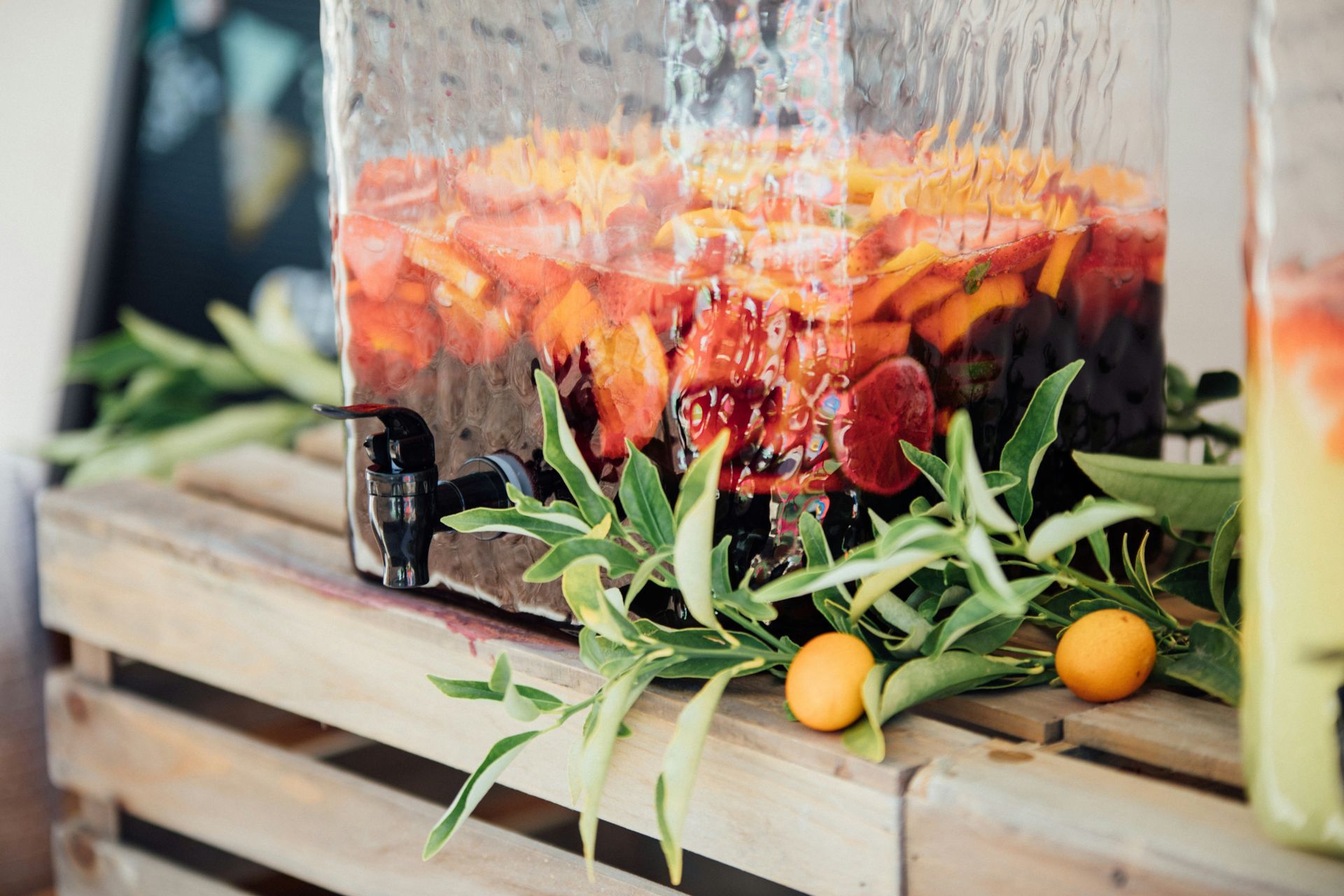 Sangria Sangria
