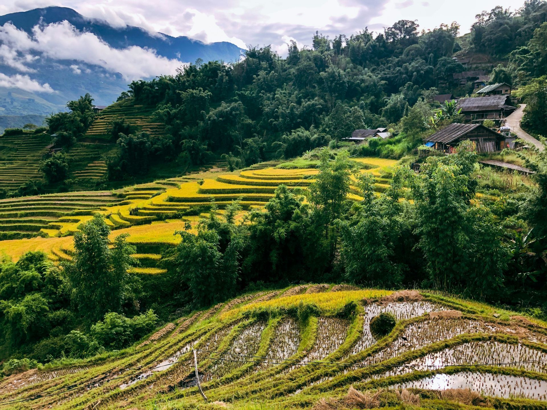 Sapa Sapa