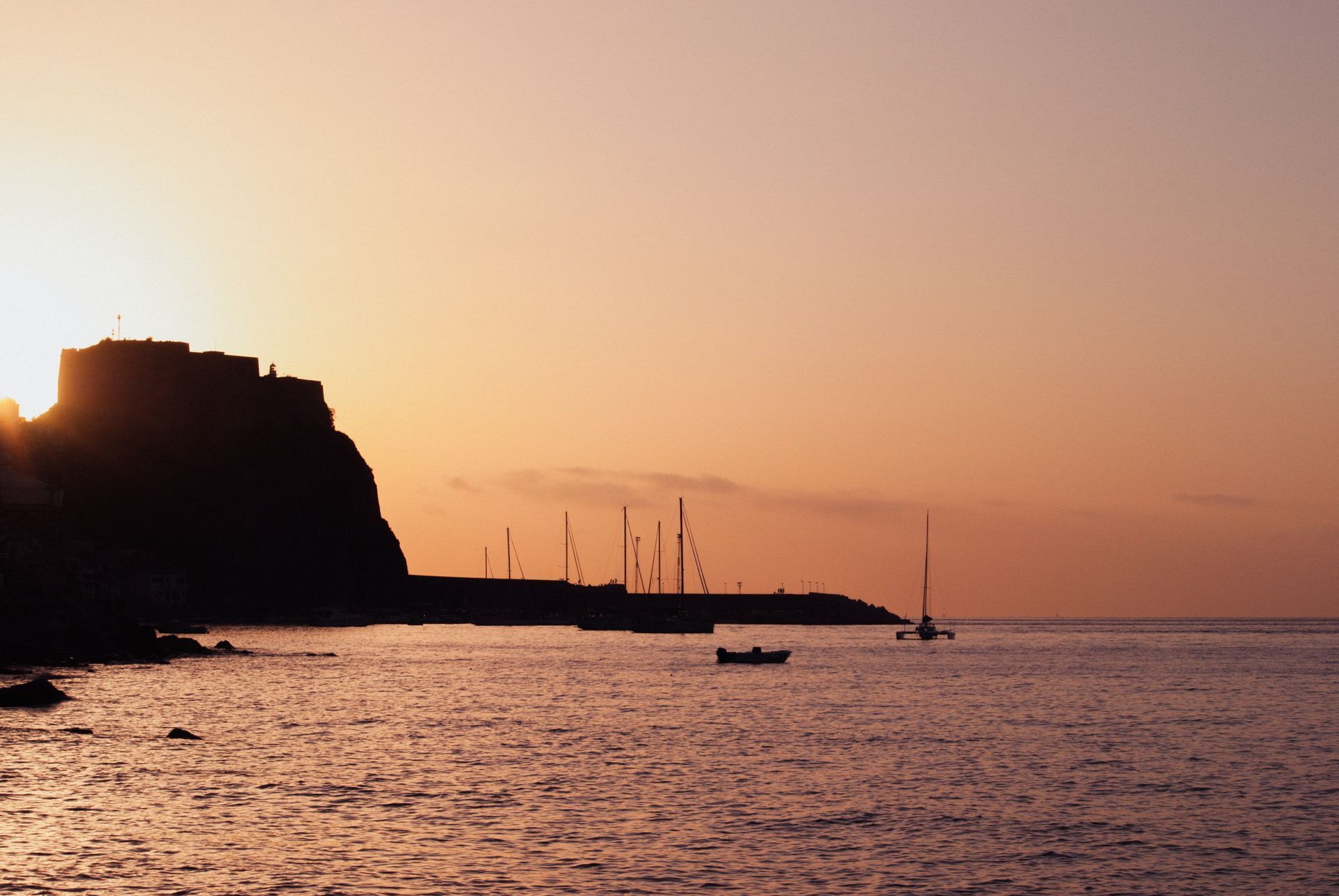 Scilla Scilla