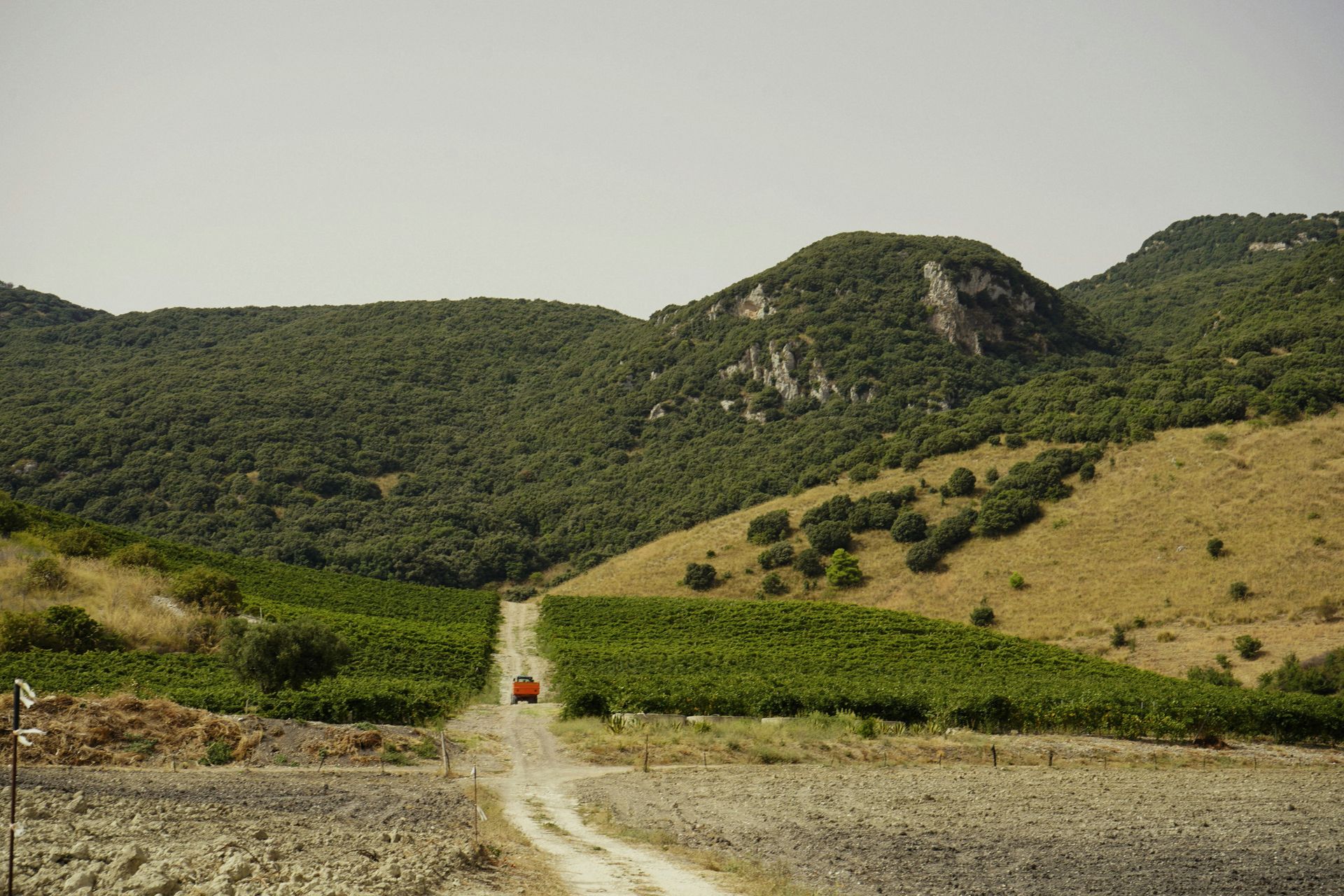 Sicily Sicily