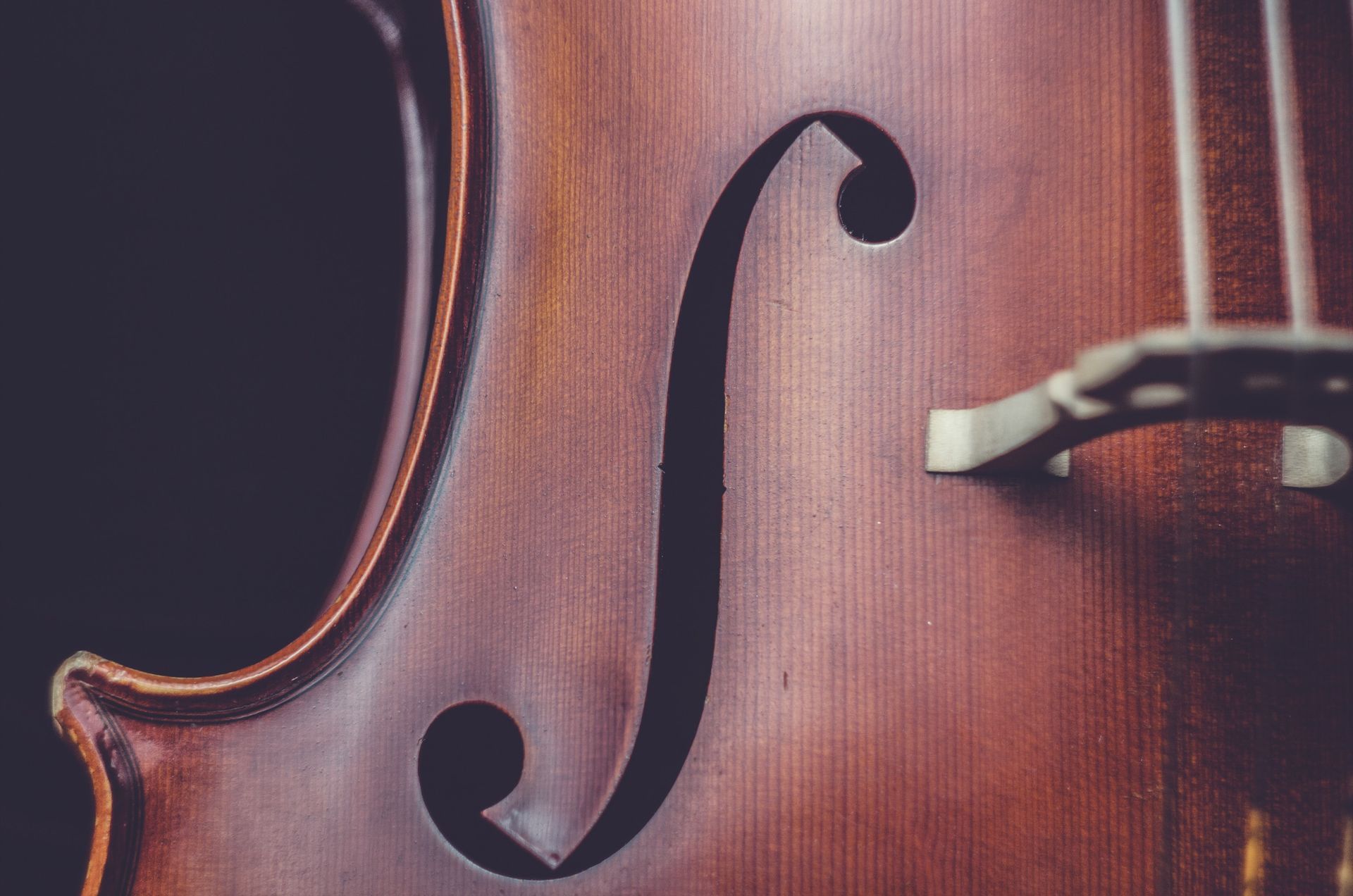Stradivari Museum Stradivari Museum