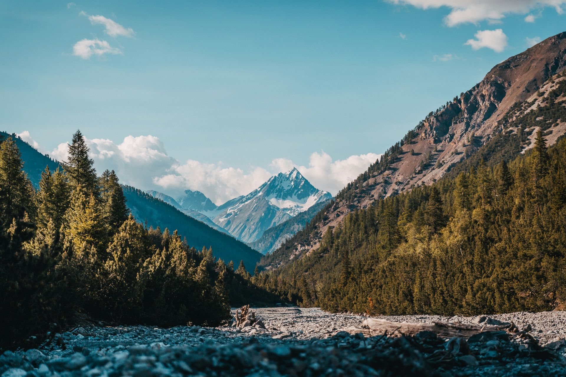 Swiss National Park Swiss National Park