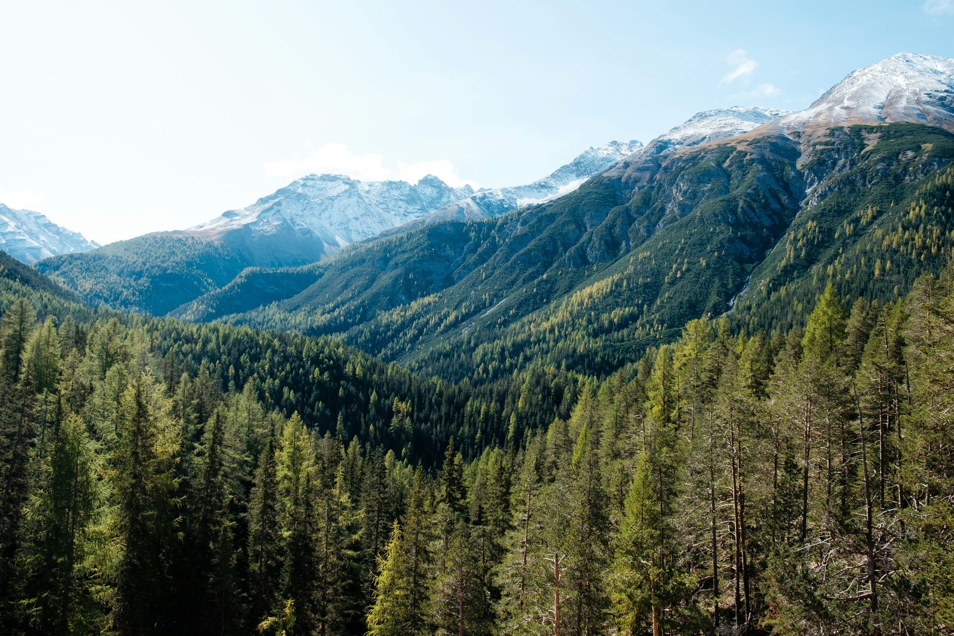 Swiss National Park Swiss National Park