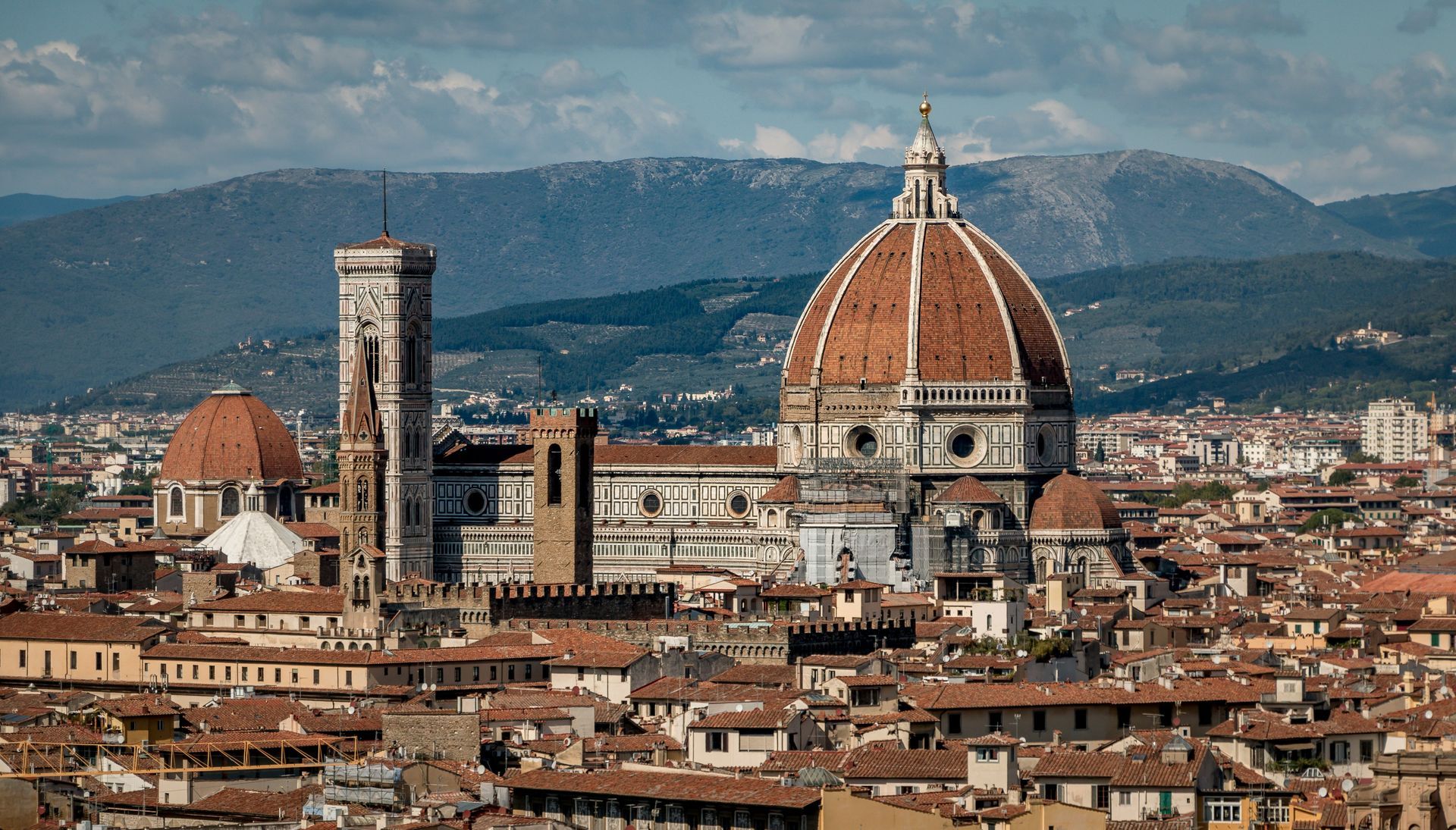 Symbol of Florence Symbol of Florence