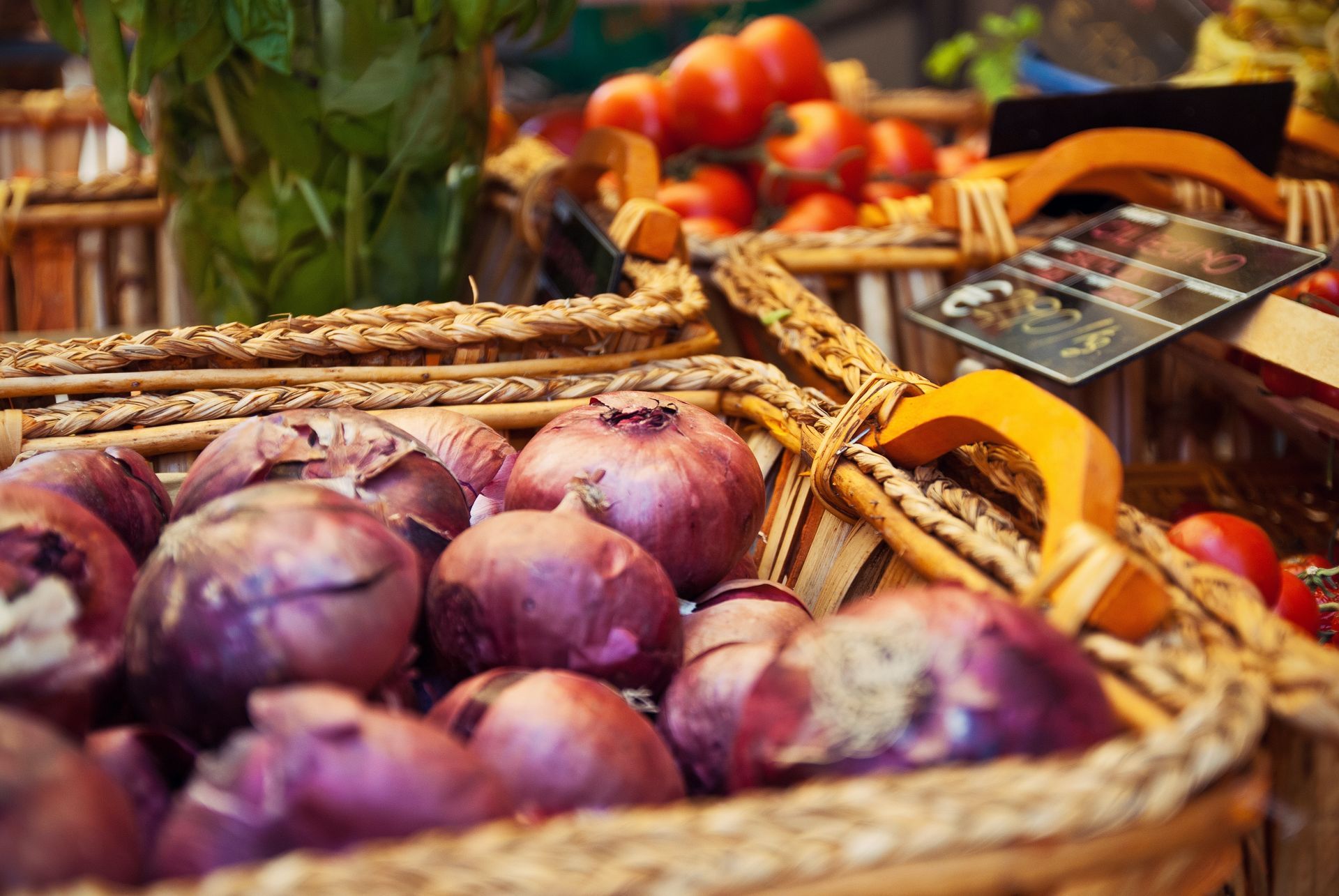 Taste Montecatini Terme's Cuisine Taste Montecatini Terme's Cuisine