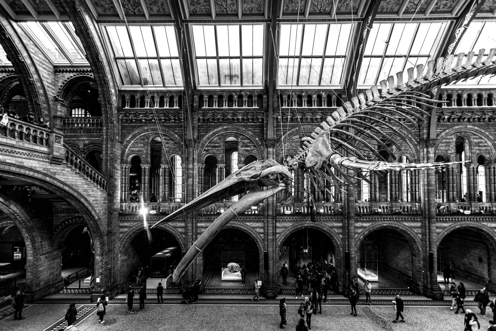 The Science Museum
