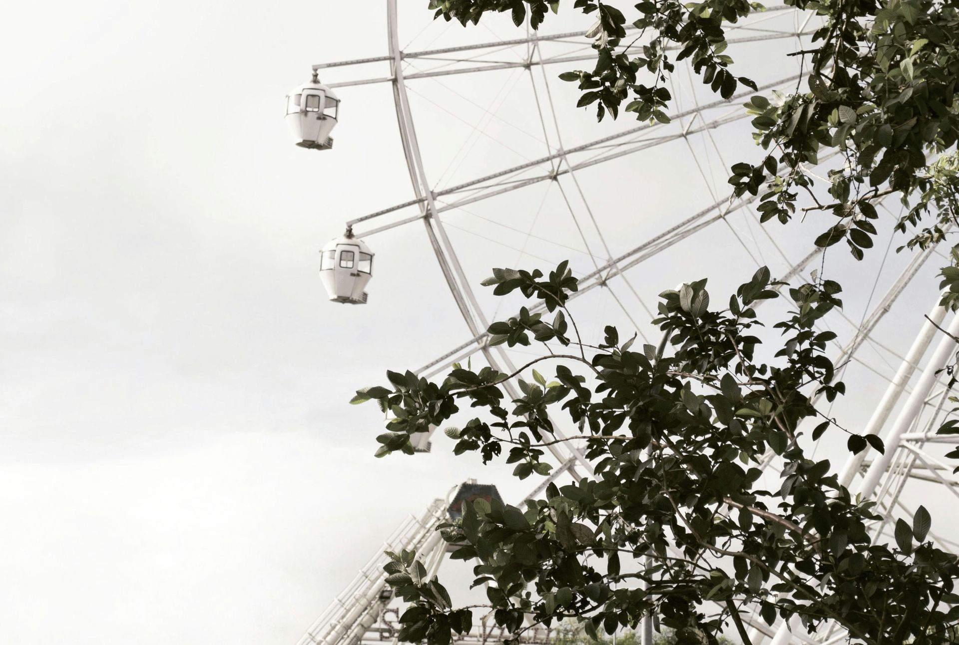 Theme park Theme park