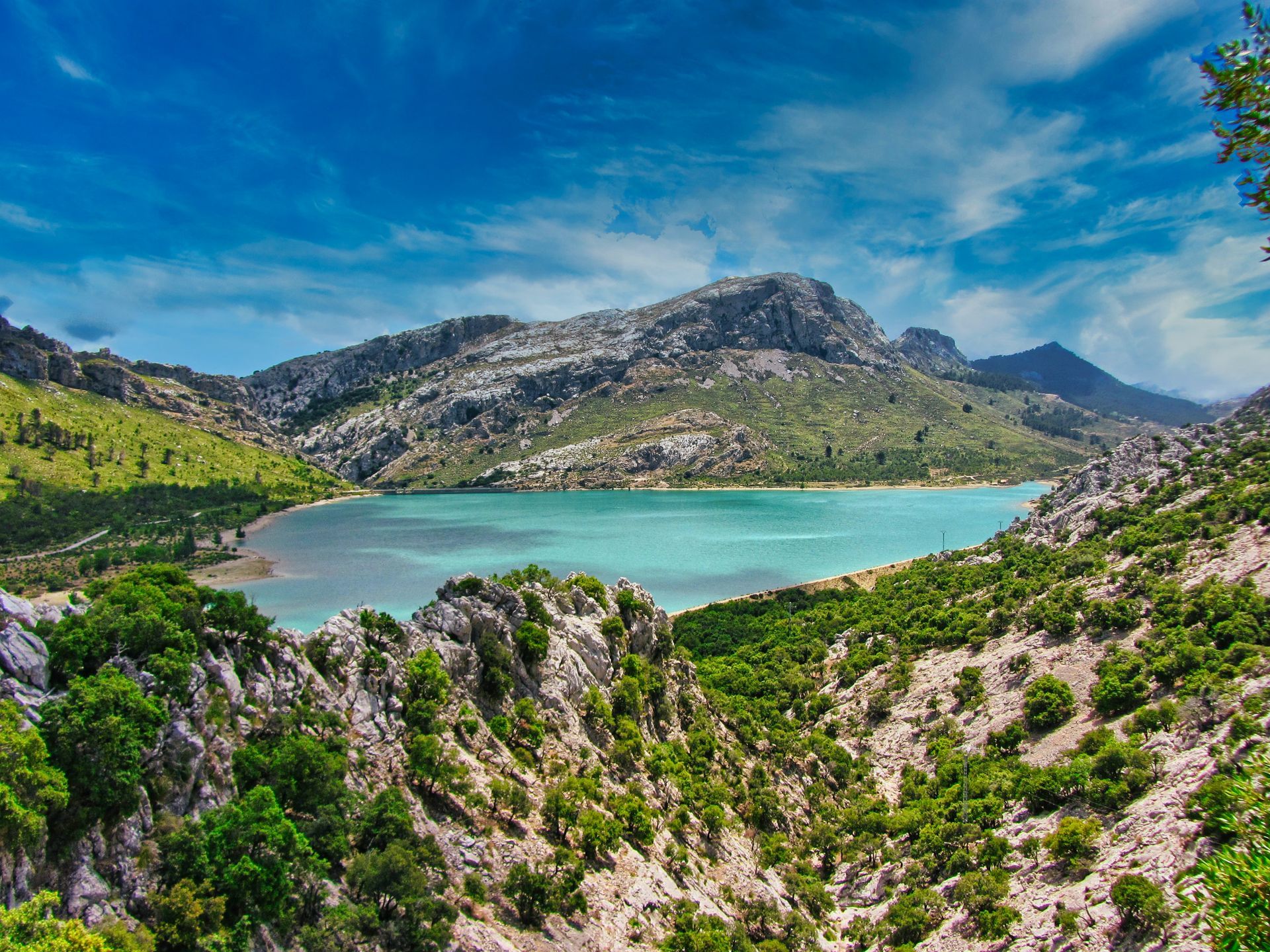 Things To Do in Palma de Mallorca