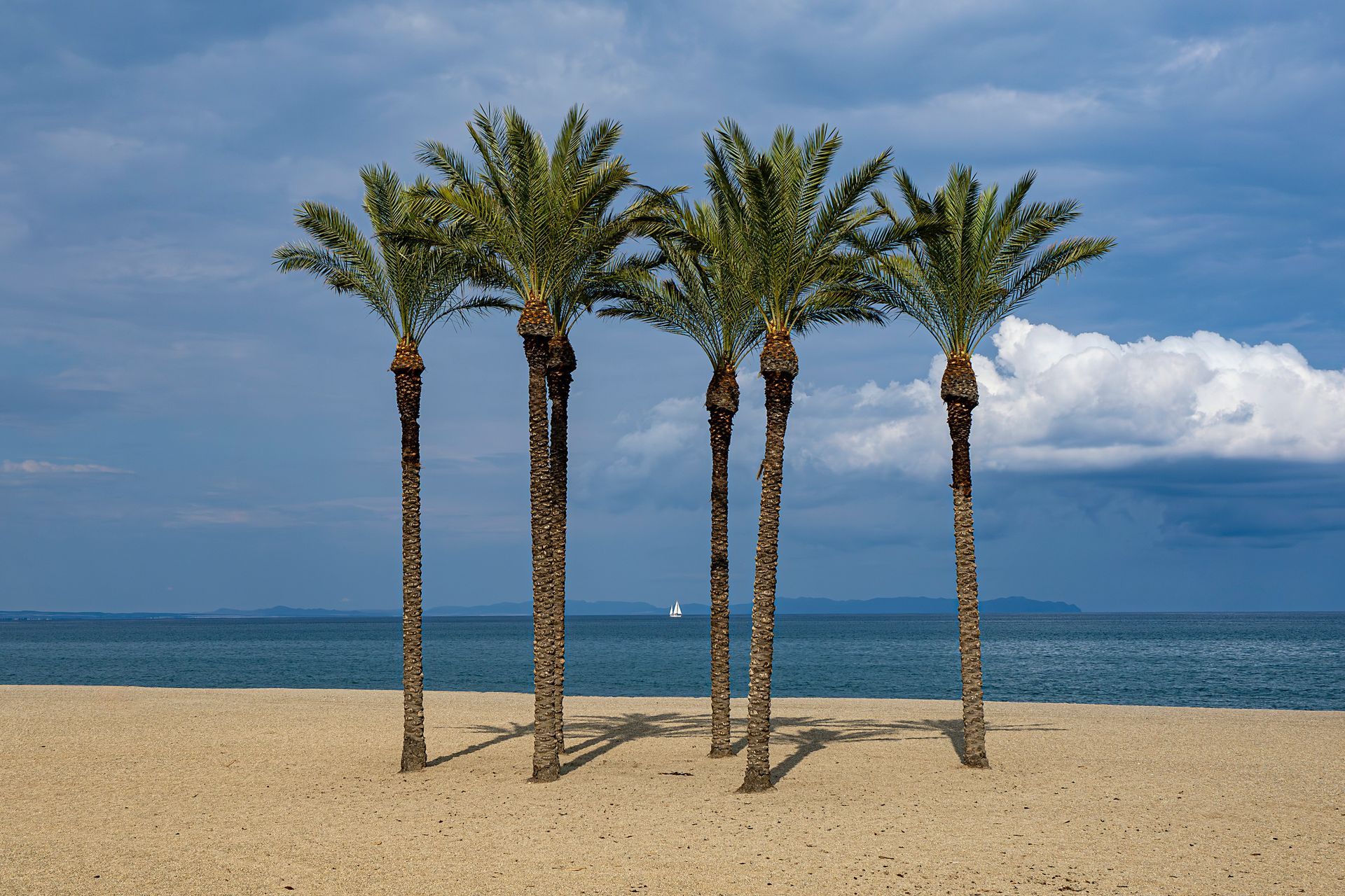 Things To Do in Roquetas De Mar