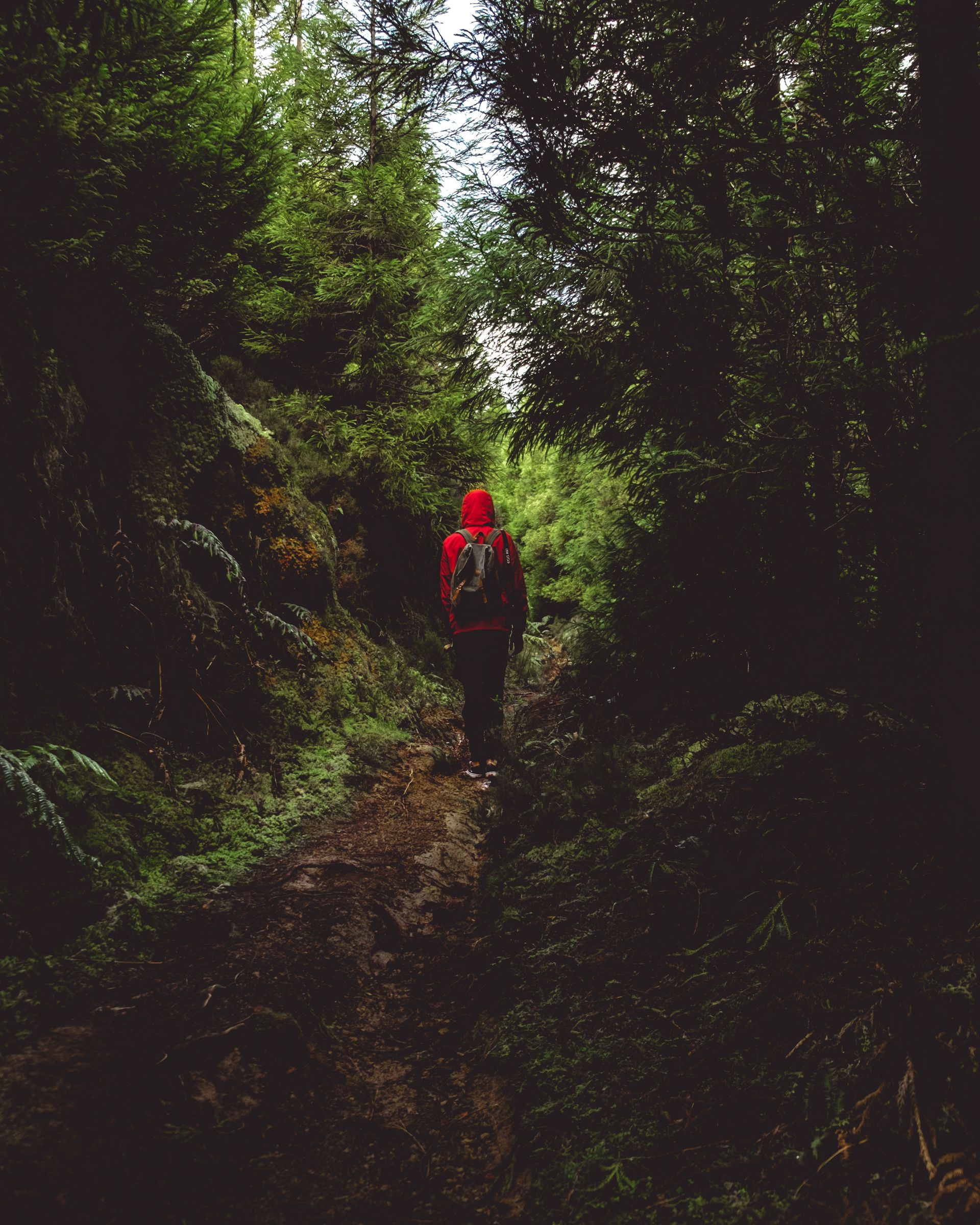 Things to Do in Ponta Delgada on a Budget Things to Do in Ponta Delgada on a Budget