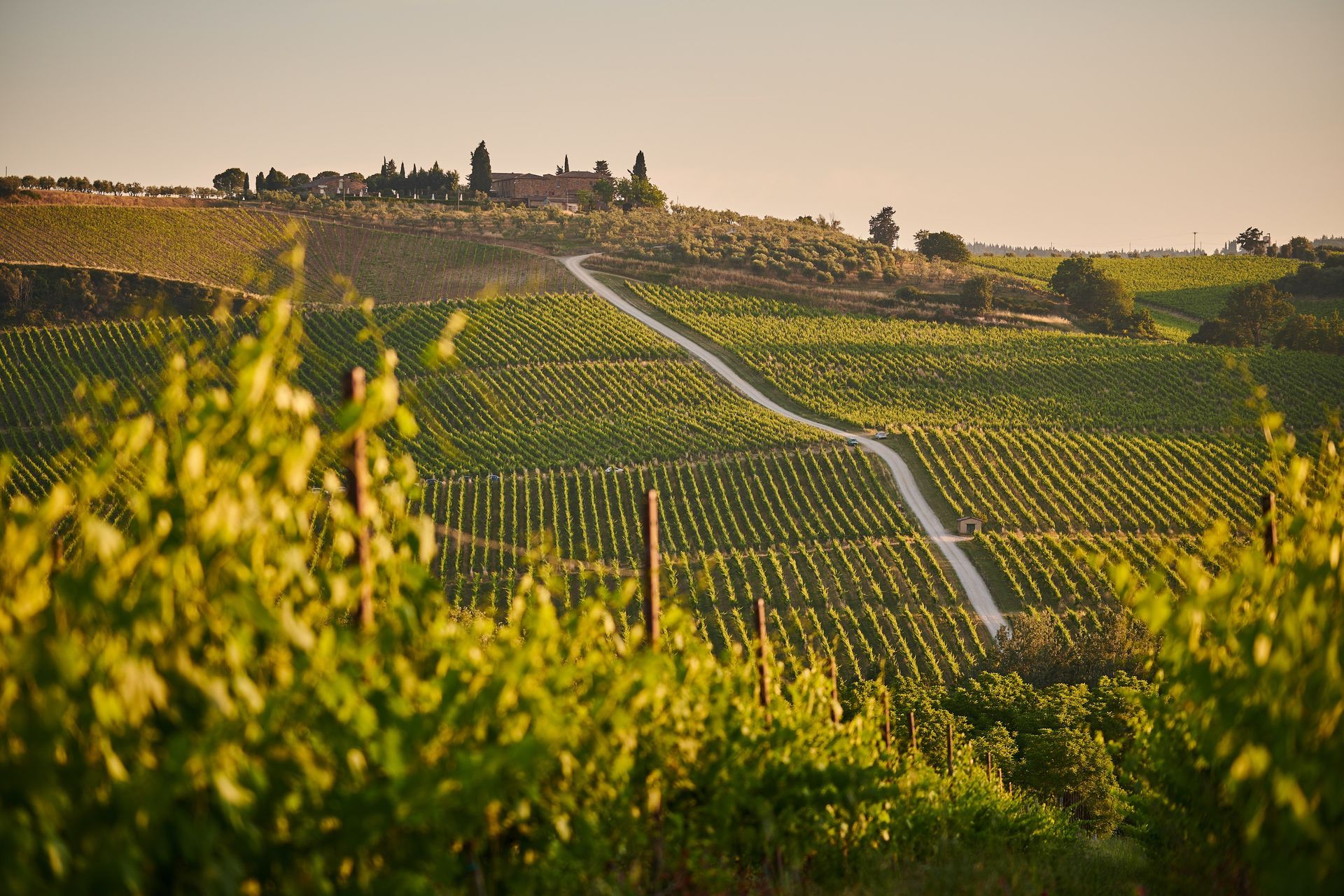 Things to do in Tuscany