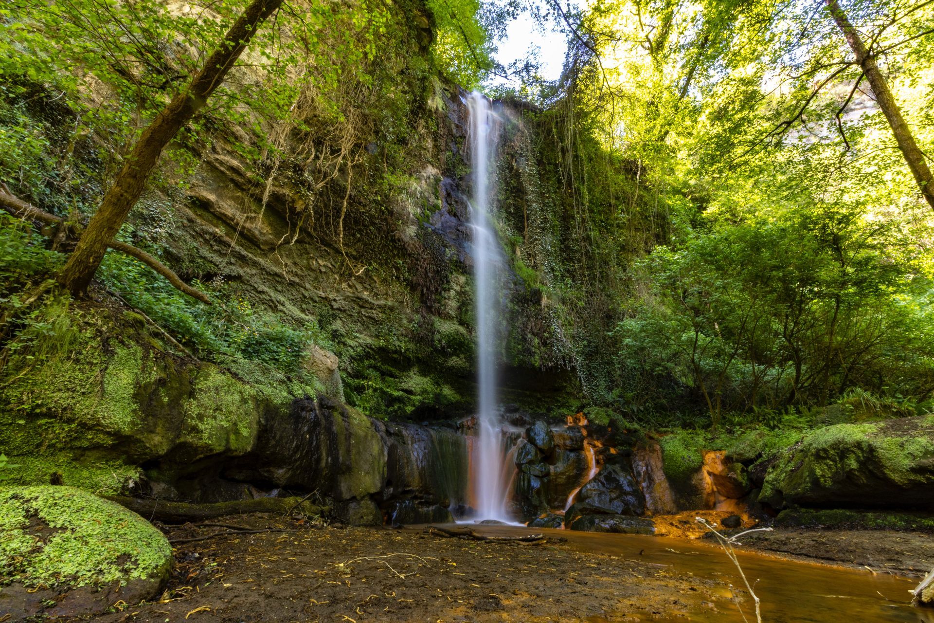 Things to do in Viterbo
