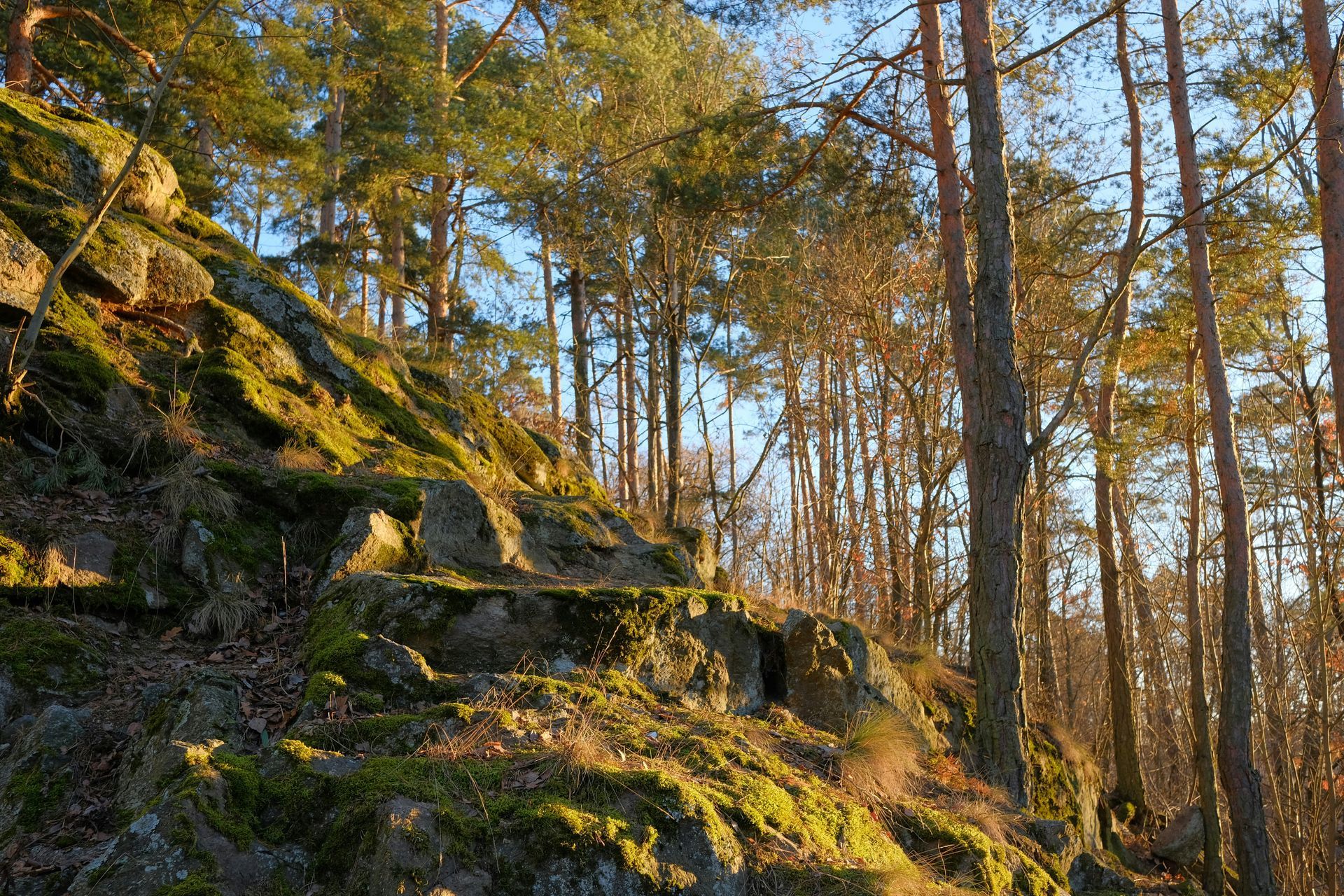 Třebíč