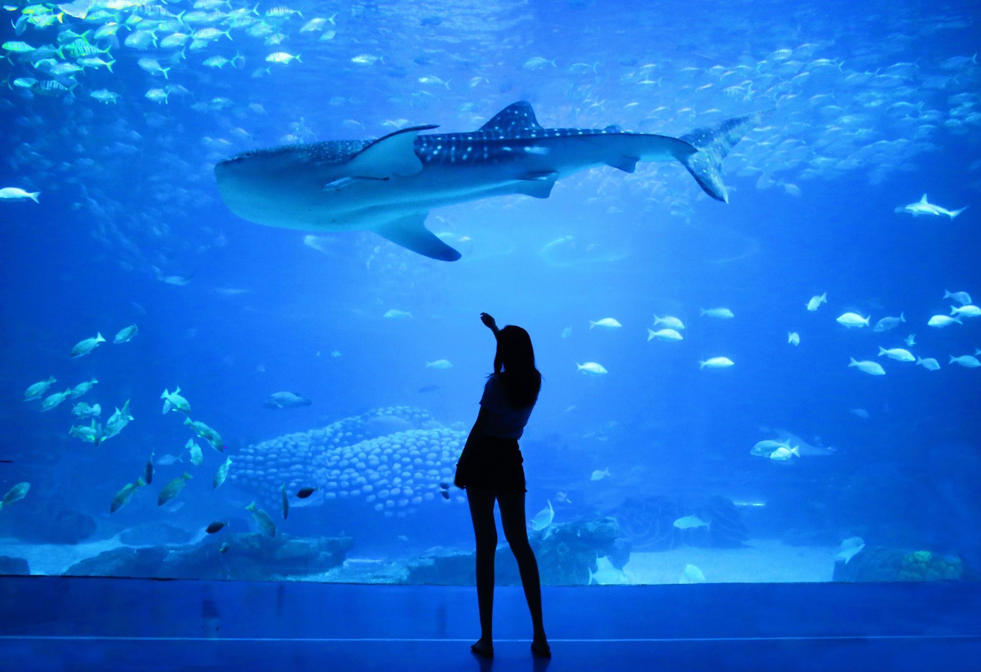 Tropicarium Park Tropicarium Park