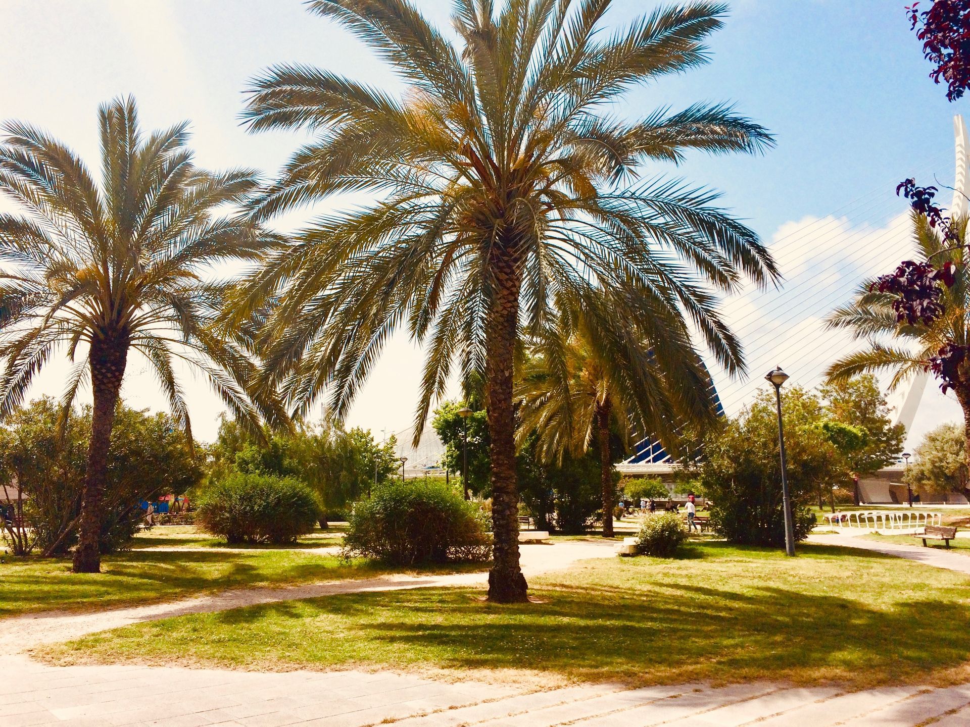 Turia Gardens Turia Gardens
