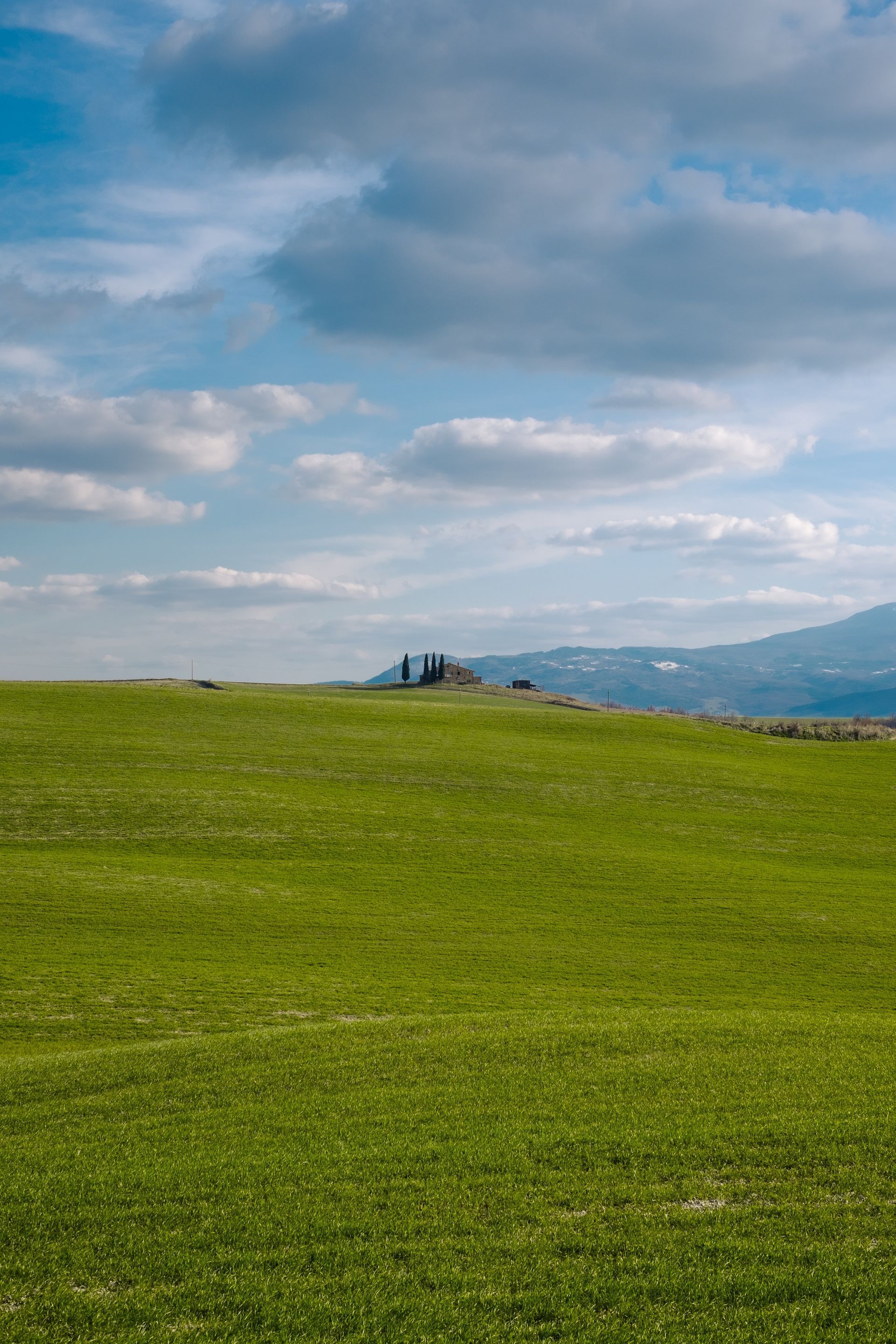 Gita di un giorno in Toscana con vino e pranzo facoltativi