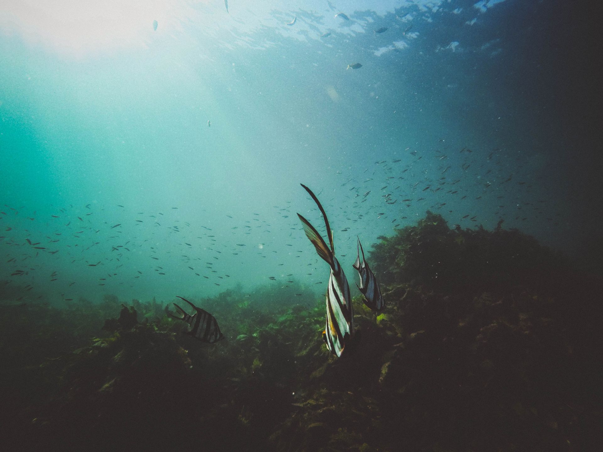 Underwater Museum