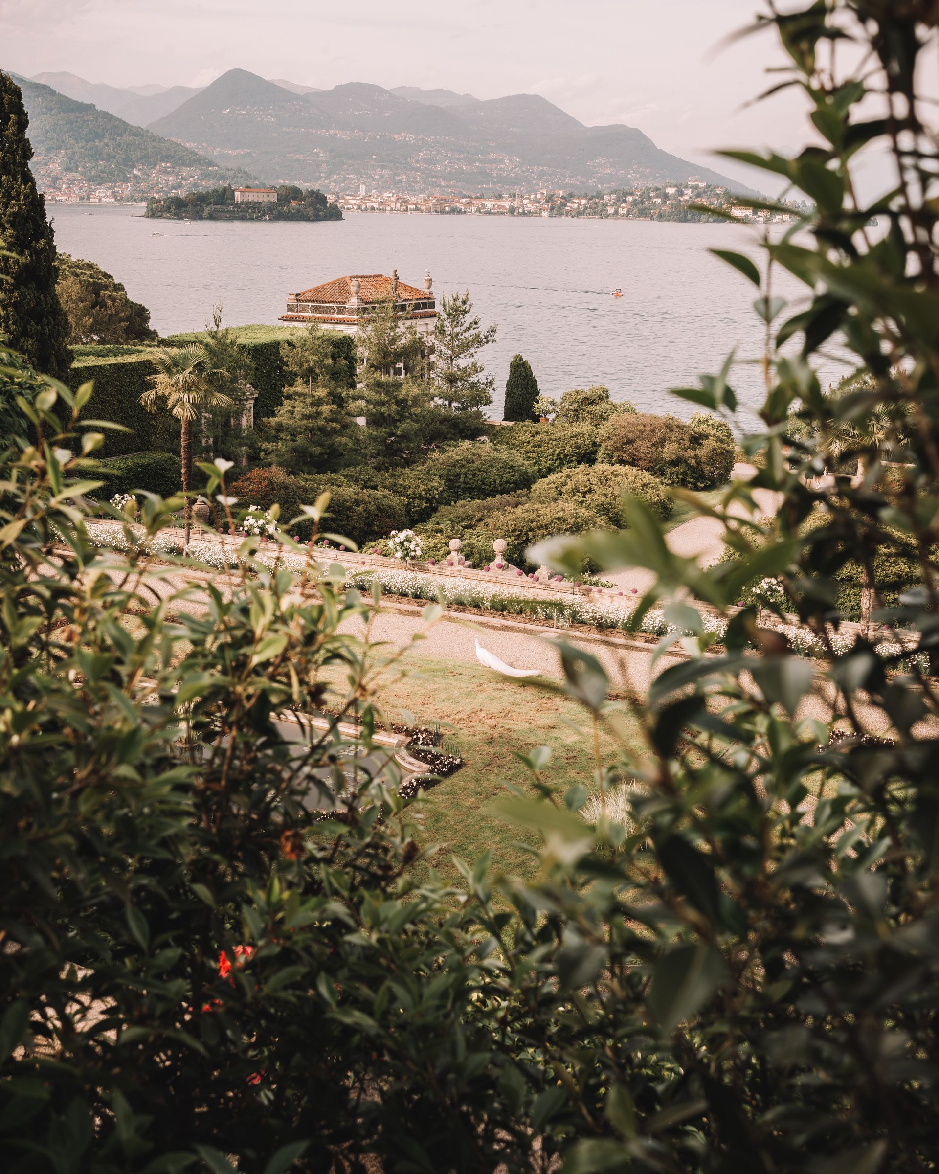 Vibrant Lakeside Promenade Vibrant Lakeside Promenade