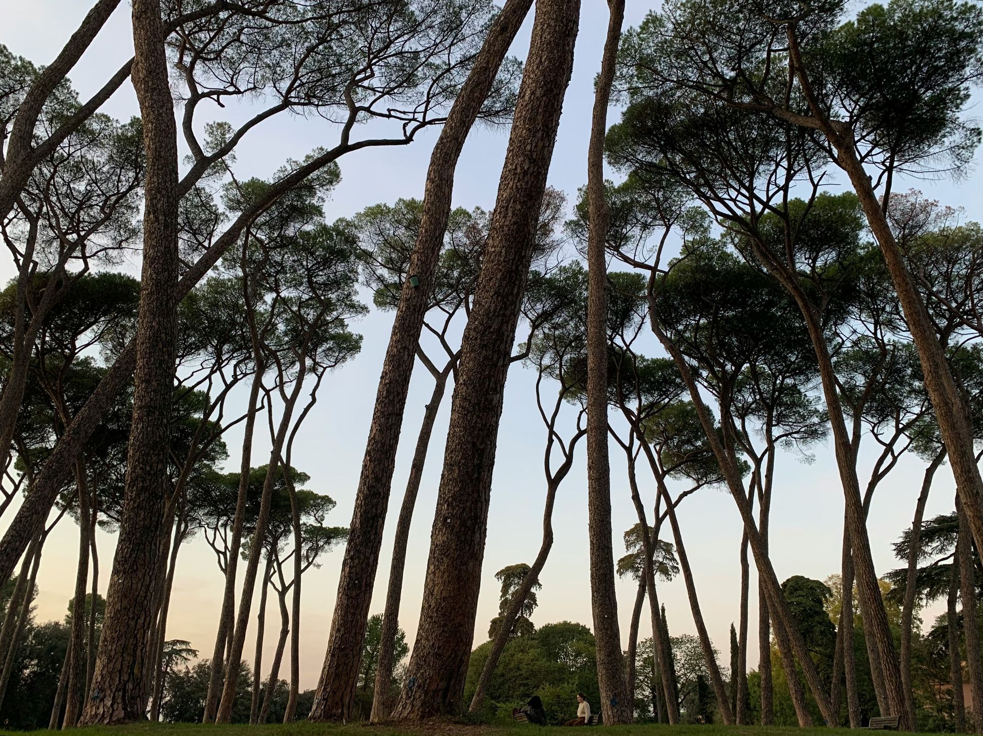 Villa Doria Pamphilj Villa Doria Pamphilj