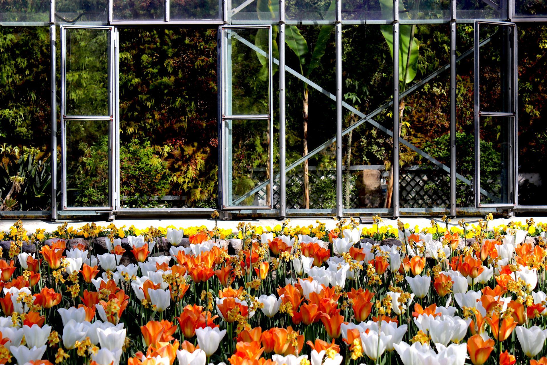 Villa Taranto Gardens Villa Taranto Gardens