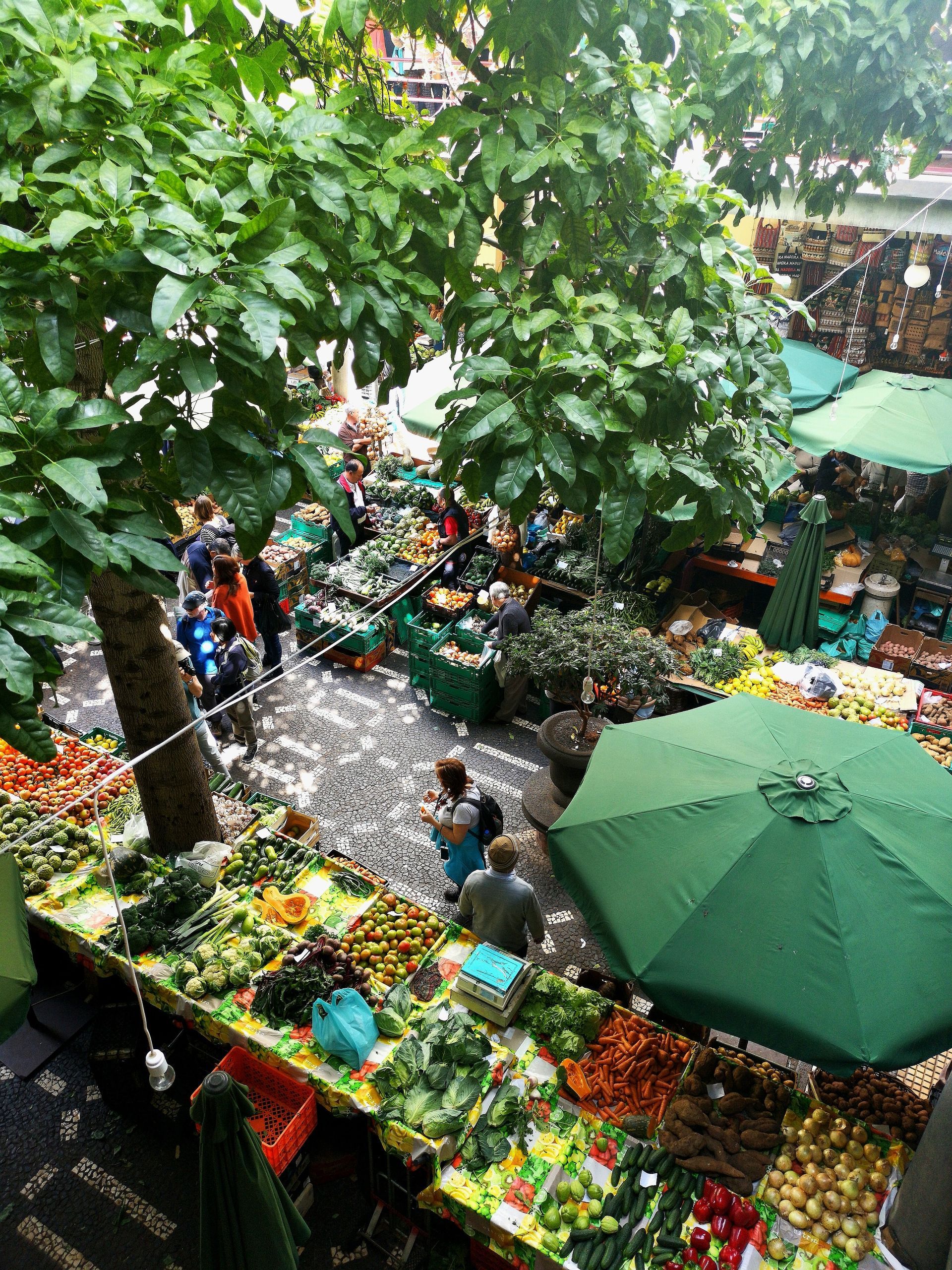 Visit Local Markets Visit Local Markets