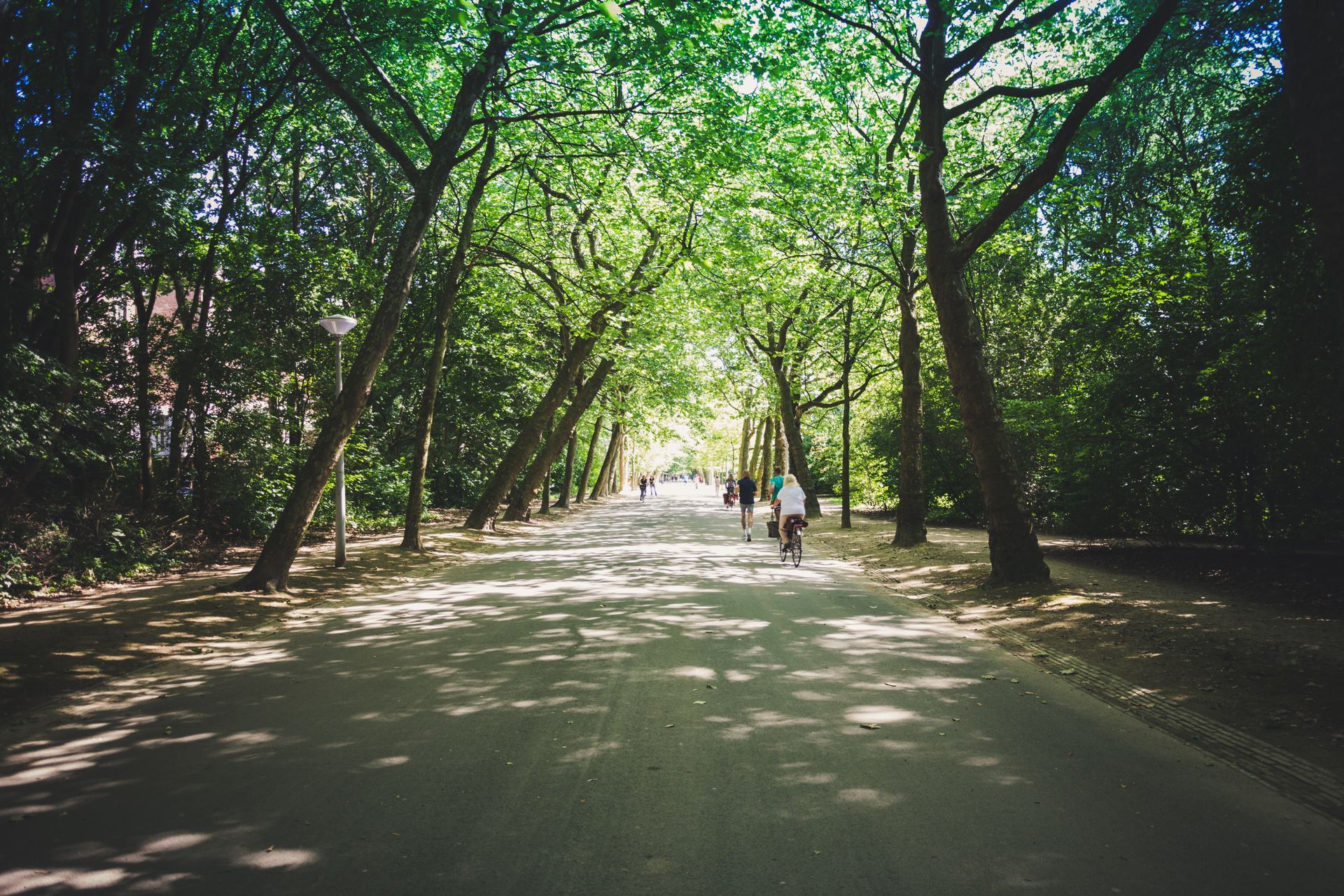 Vondelpark Vondelpark