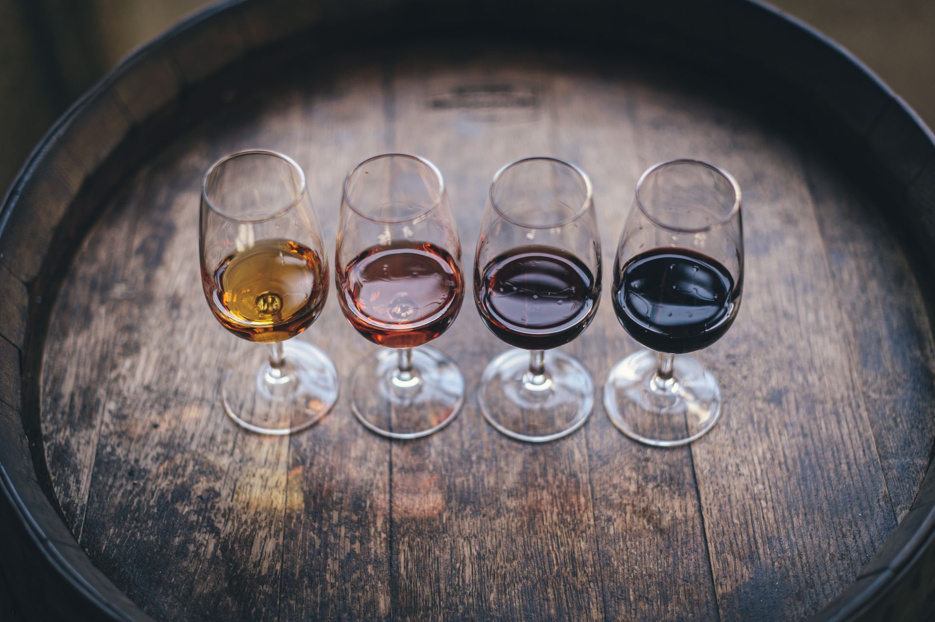 Wine Tasting Wine Tasting