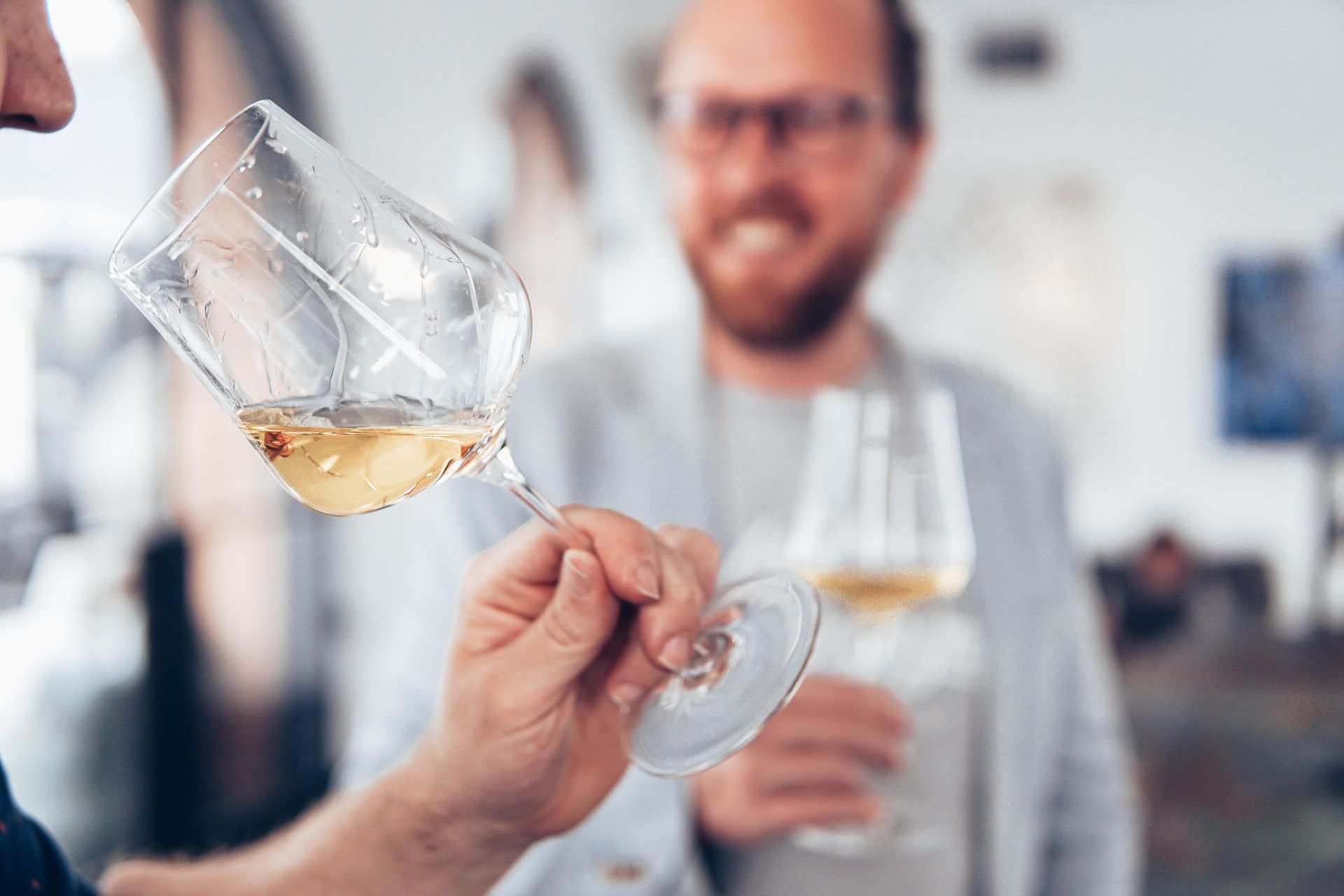 Wine Tasting Wine Tasting