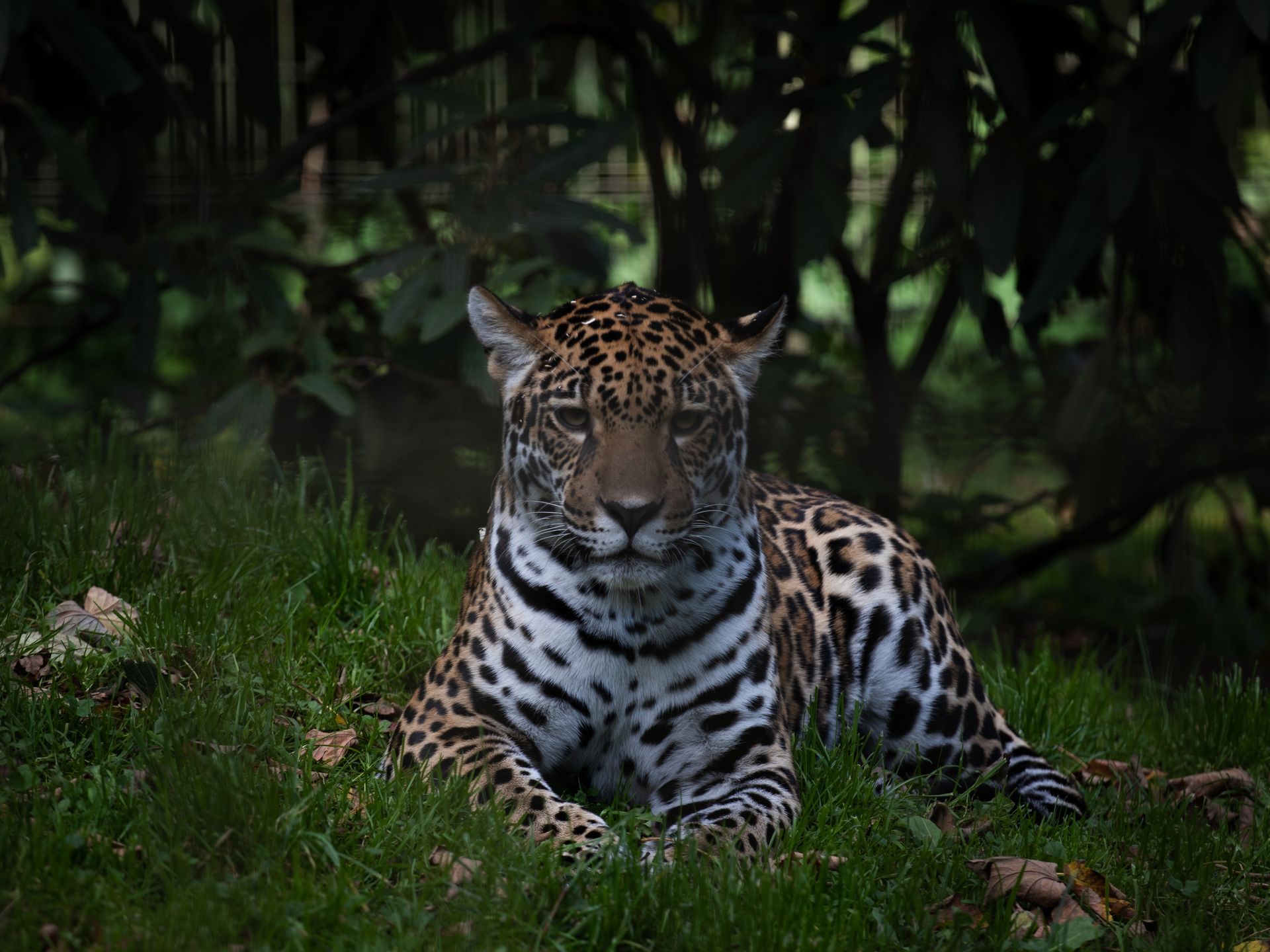 Zoo El Bosque Zoo El Bosque