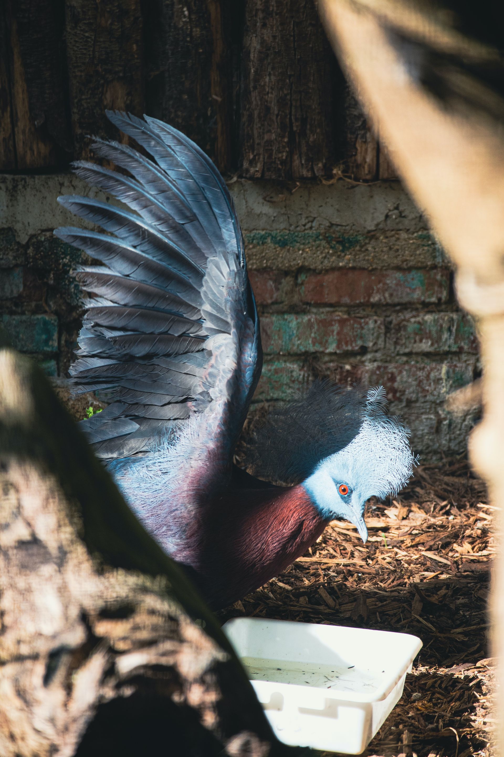Zoo de Lille