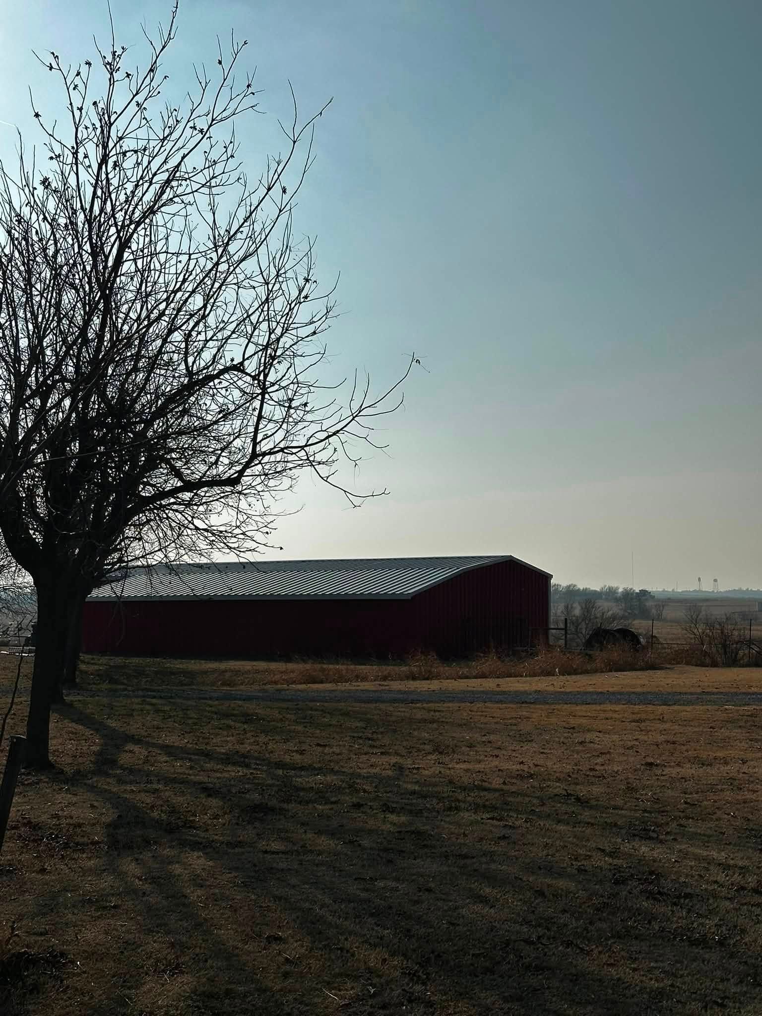 Bare tree beside a red barn in a dry field under a clear sky