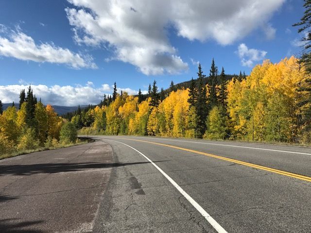 autumn road
