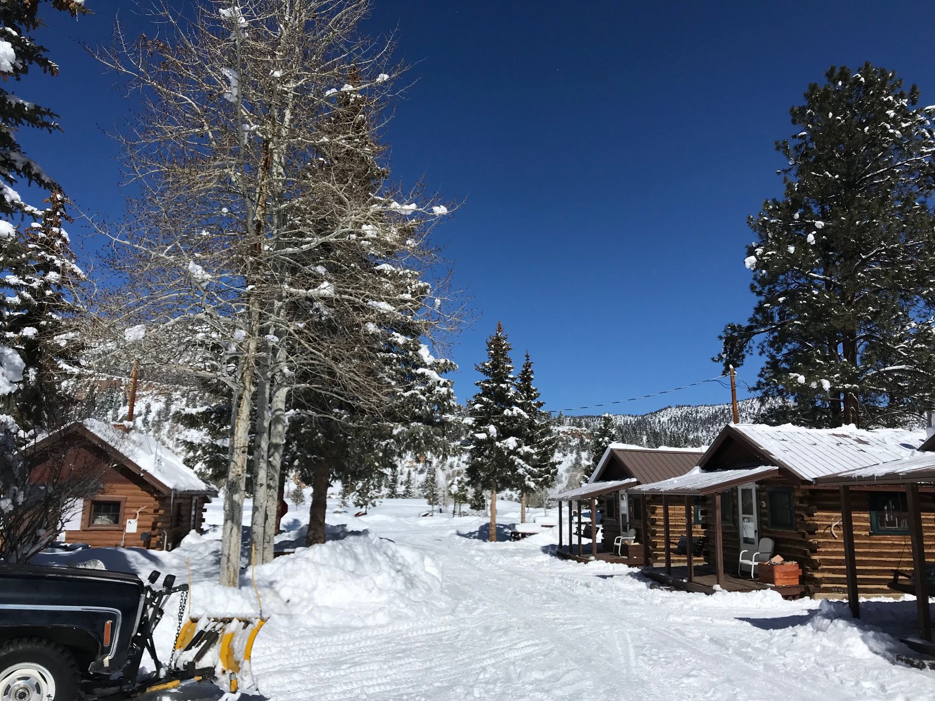 cabins in the snow