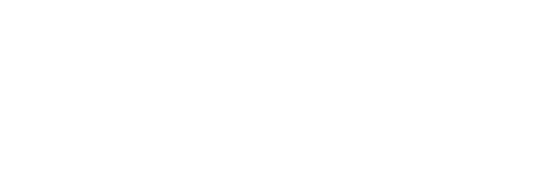 Face Reality Logo